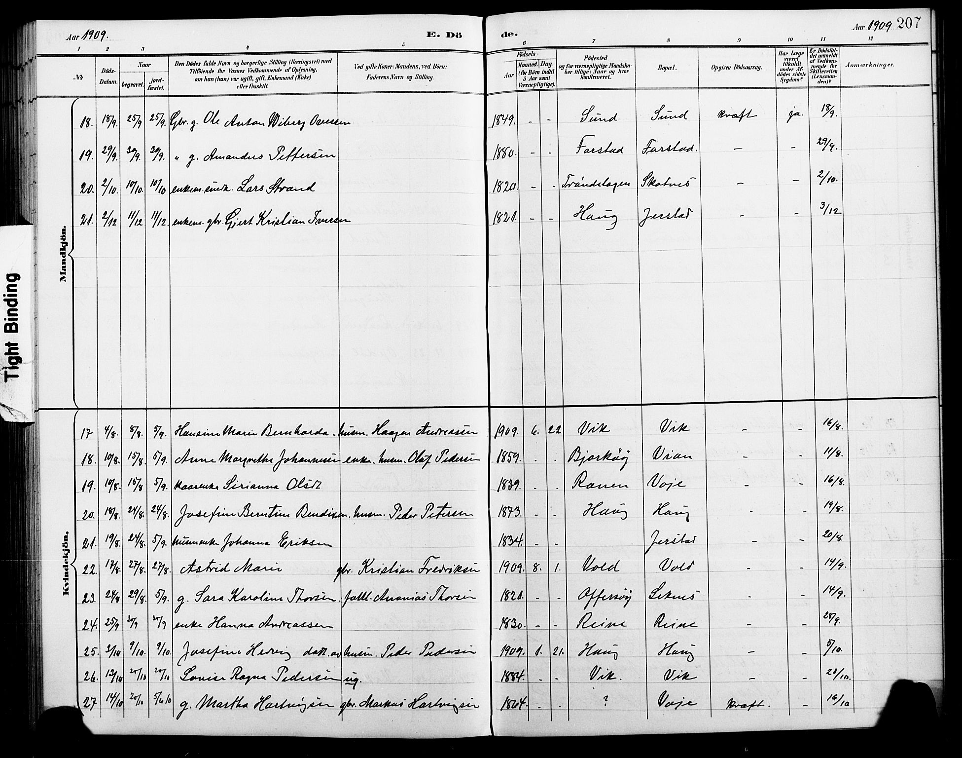 Ministerialprotokoller, klokkerbøker og fødselsregistre - Nordland, AV/SAT-A-1459/881/L1168: Parish register (copy) no. 881C05, 1900-1911, p. 207