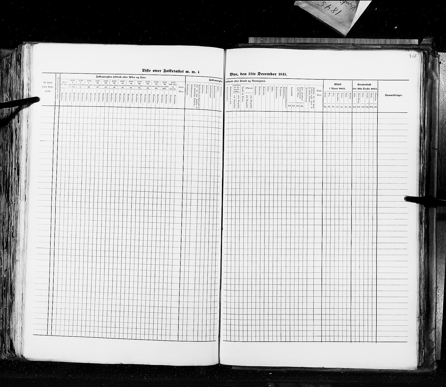 RA, Census 1845, vol. 10: Cities, 1845, p. 350