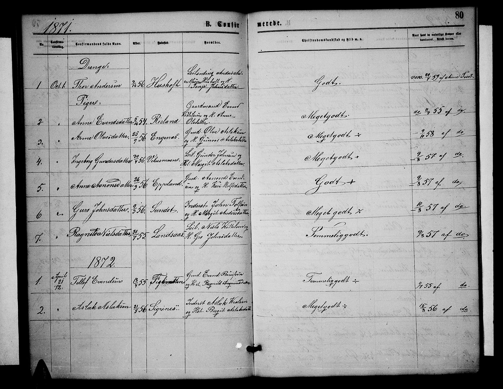 Åmli sokneprestkontor, AV/SAK-1111-0050/F/Fb/Fbc/L0003: Parish register (copy) no. B 3, 1868-1888, p. 80