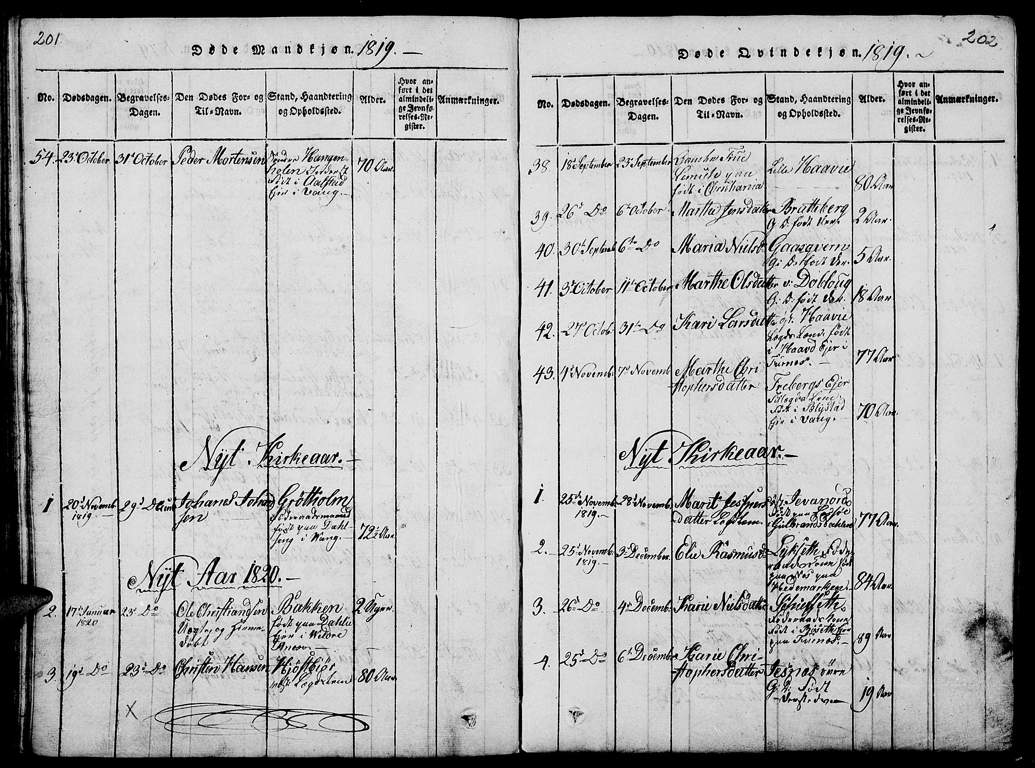 Vang prestekontor, Hedmark, AV/SAH-PREST-008/H/Ha/Haa/L0008: Parish register (official) no. 8, 1815-1826, p. 201-202