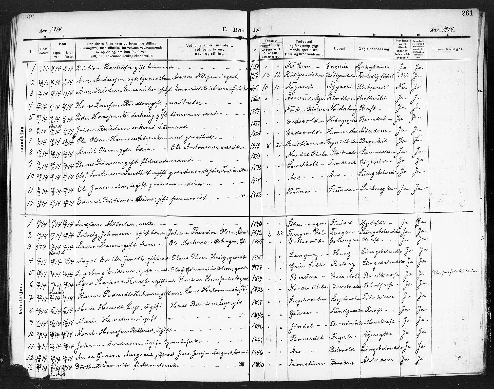 Eidsvoll prestekontor Kirkebøker, AV/SAO-A-10888/G/Ga/L0008: Parish register (copy) no. I 8, 1909-1918, p. 261