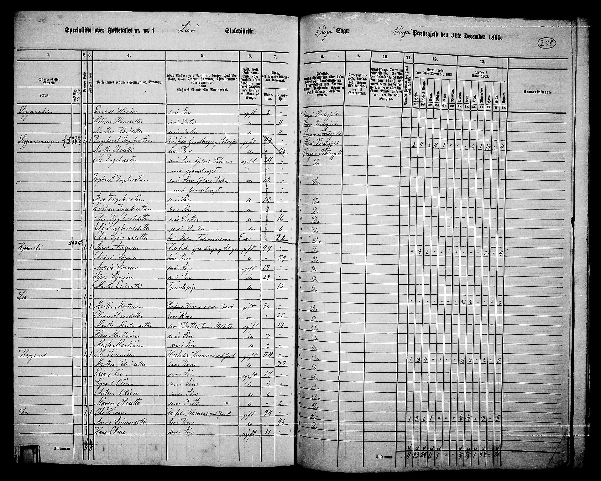 RA, 1865 census for Vinger/Vinger og Austmarka, 1865, p. 234