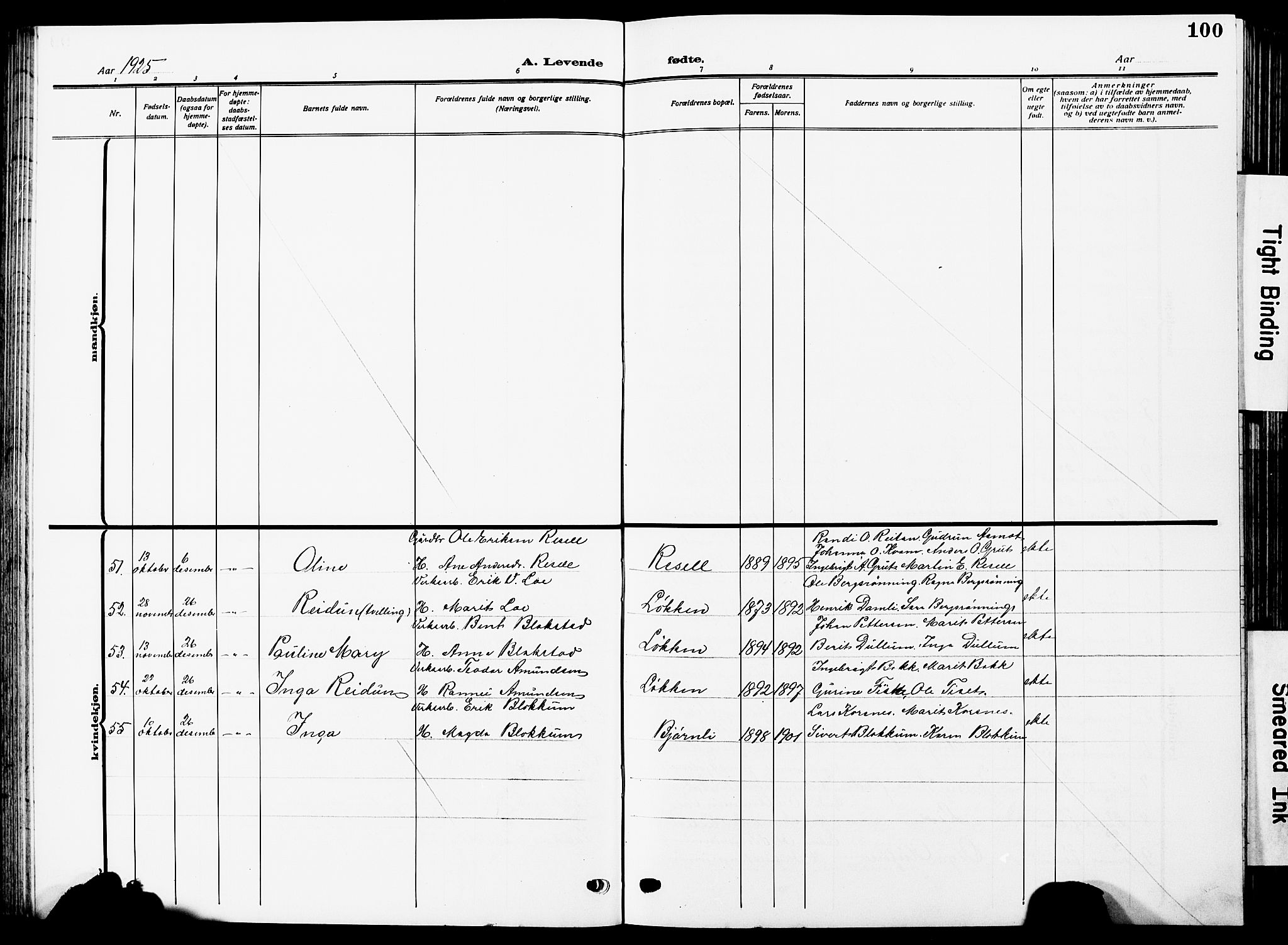 Ministerialprotokoller, klokkerbøker og fødselsregistre - Sør-Trøndelag, AV/SAT-A-1456/672/L0865: Parish register (copy) no. 672C04, 1914-1928, p. 100