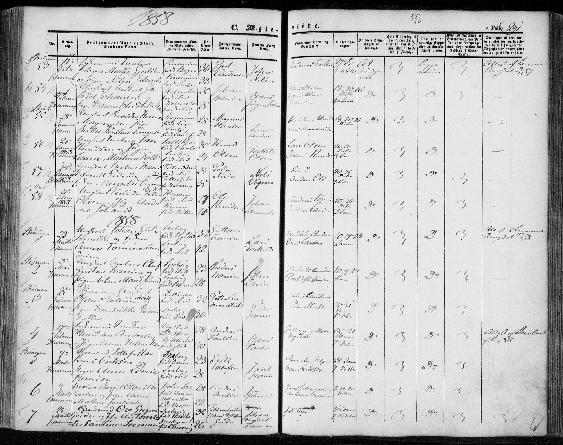 Hurum kirkebøker, SAKO/A-229/F/Fa/L0011: Parish register (official) no. 11, 1847-1860, p. 291