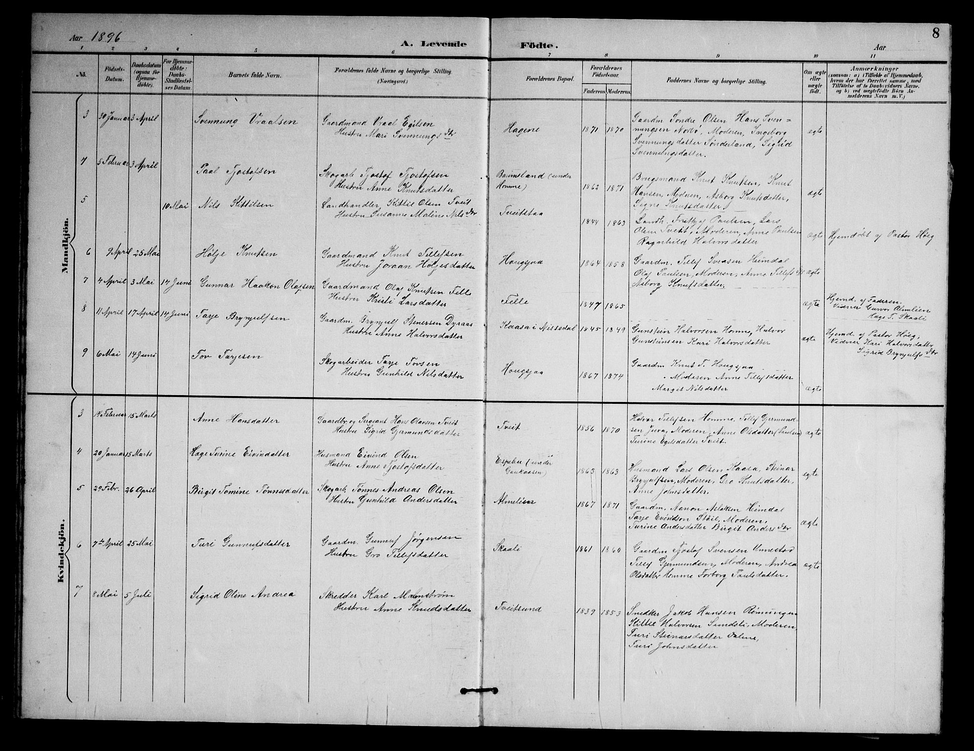 Nissedal kirkebøker, AV/SAKO-A-288/G/Gb/L0003: Parish register (copy) no. II 3, 1893-1928, p. 8