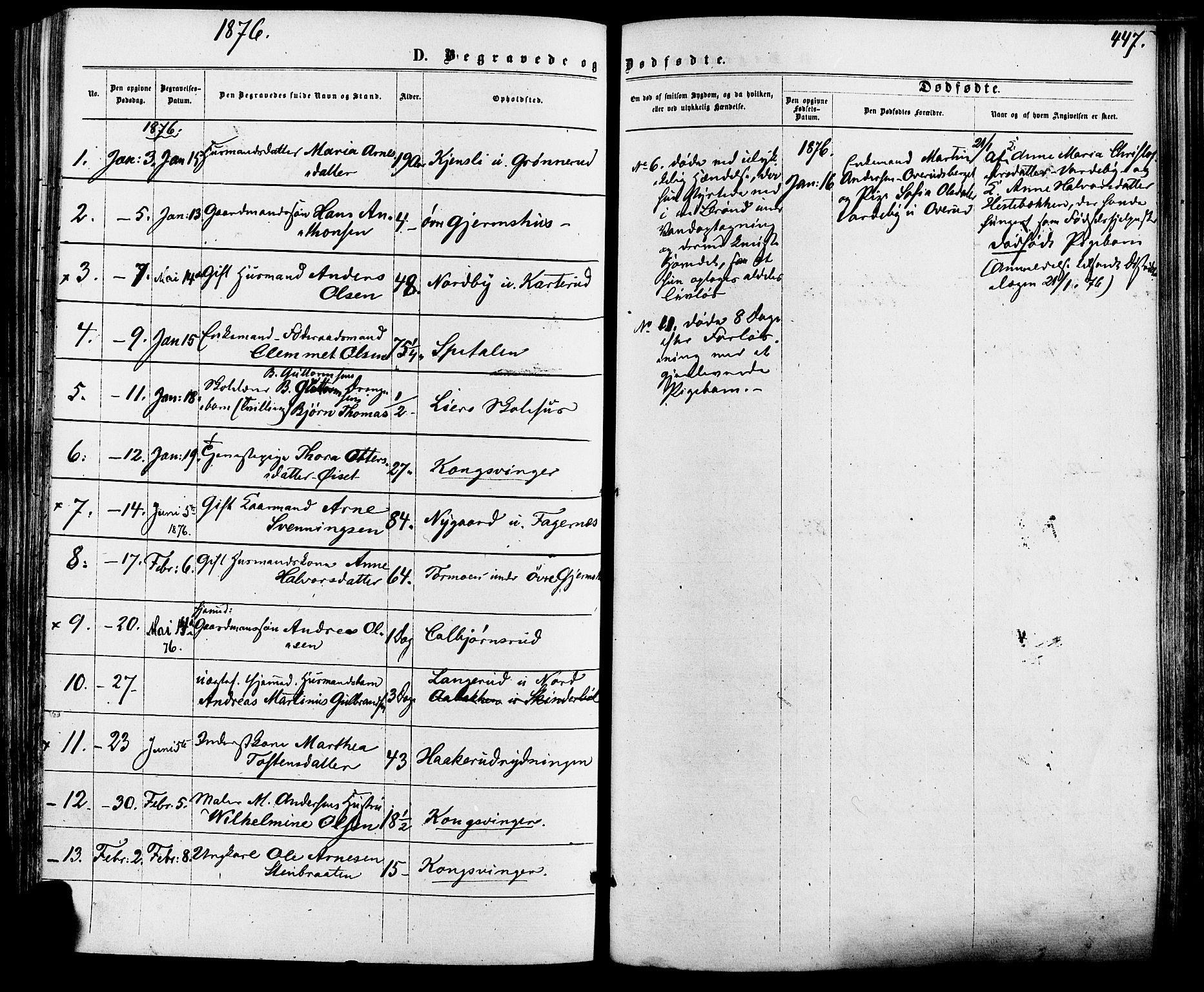 Vinger prestekontor, AV/SAH-PREST-024/H/Ha/Haa/L0012: Parish register (official) no. 12, 1871-1880, p. 447