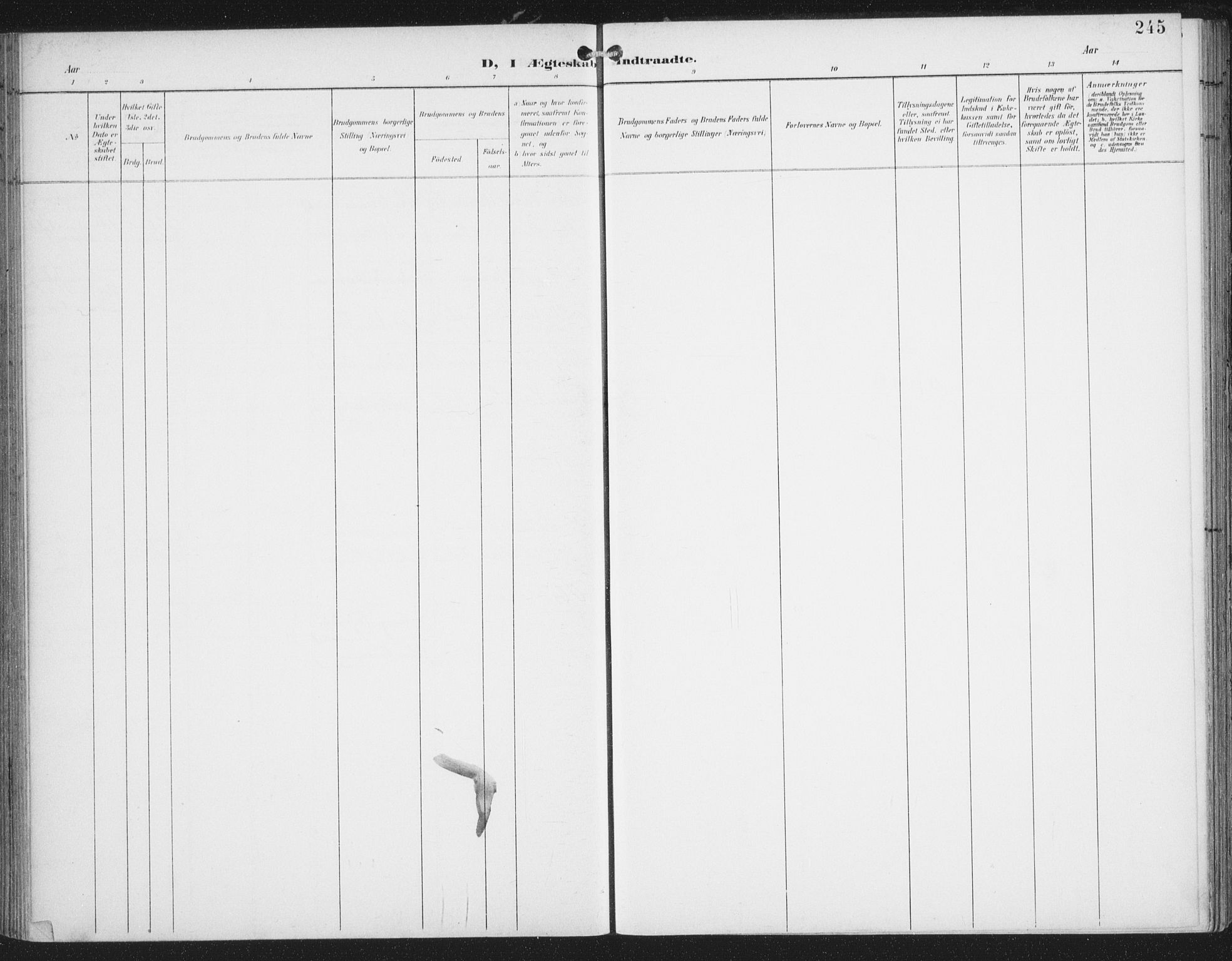 Ministerialprotokoller, klokkerbøker og fødselsregistre - Nordland, AV/SAT-A-1459/874/L1062: Parish register (official) no. 874A06, 1899-1907, p. 245