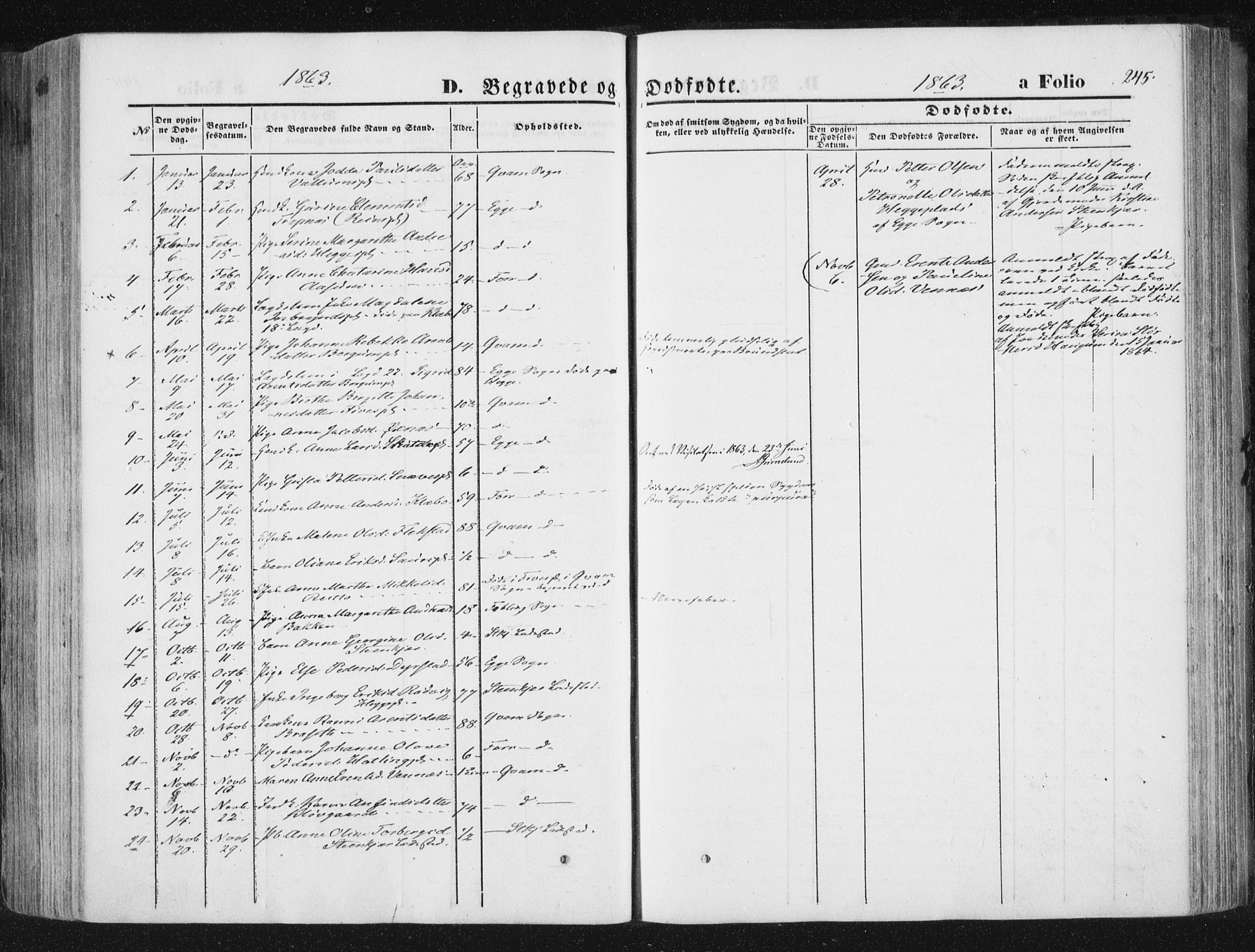 Ministerialprotokoller, klokkerbøker og fødselsregistre - Nord-Trøndelag, SAT/A-1458/746/L0447: Parish register (official) no. 746A06, 1860-1877, p. 245