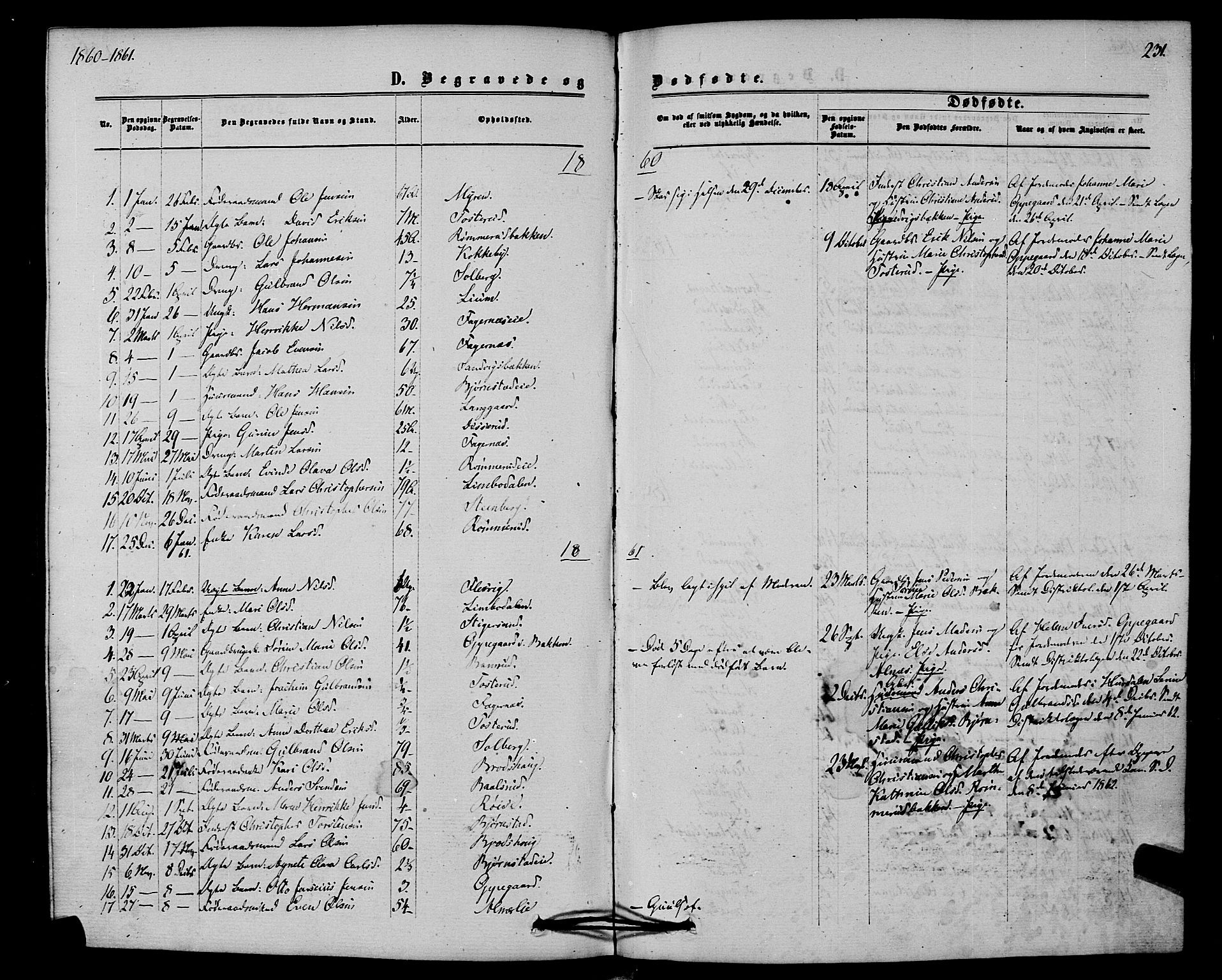 Hurdal prestekontor Kirkebøker, SAO/A-10889/F/Fb/L0002: Parish register (official) no. II 2, 1860-1877, p. 231