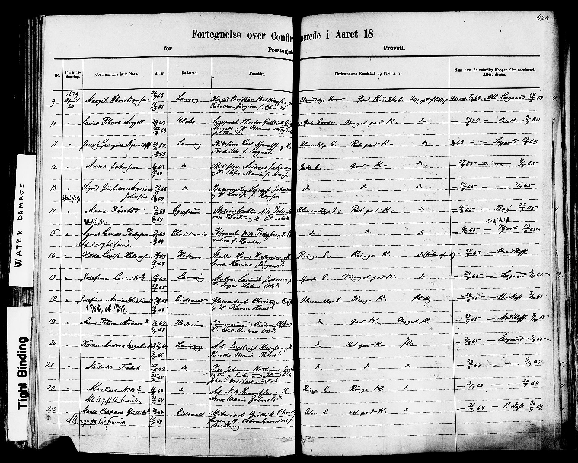 Larvik kirkebøker, AV/SAKO-A-352/F/Fa/L0006: Parish register (official) no. I 6, 1871-1883, p. 424