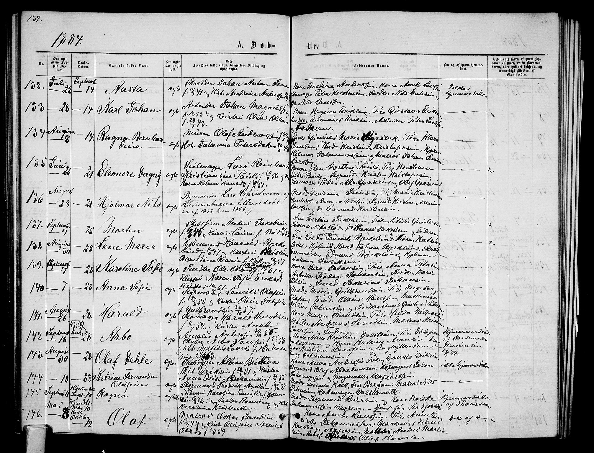 Tønsberg kirkebøker, AV/SAKO-A-330/G/Ga/L0005: Parish register (copy) no. 5, 1875-1885, p. 134