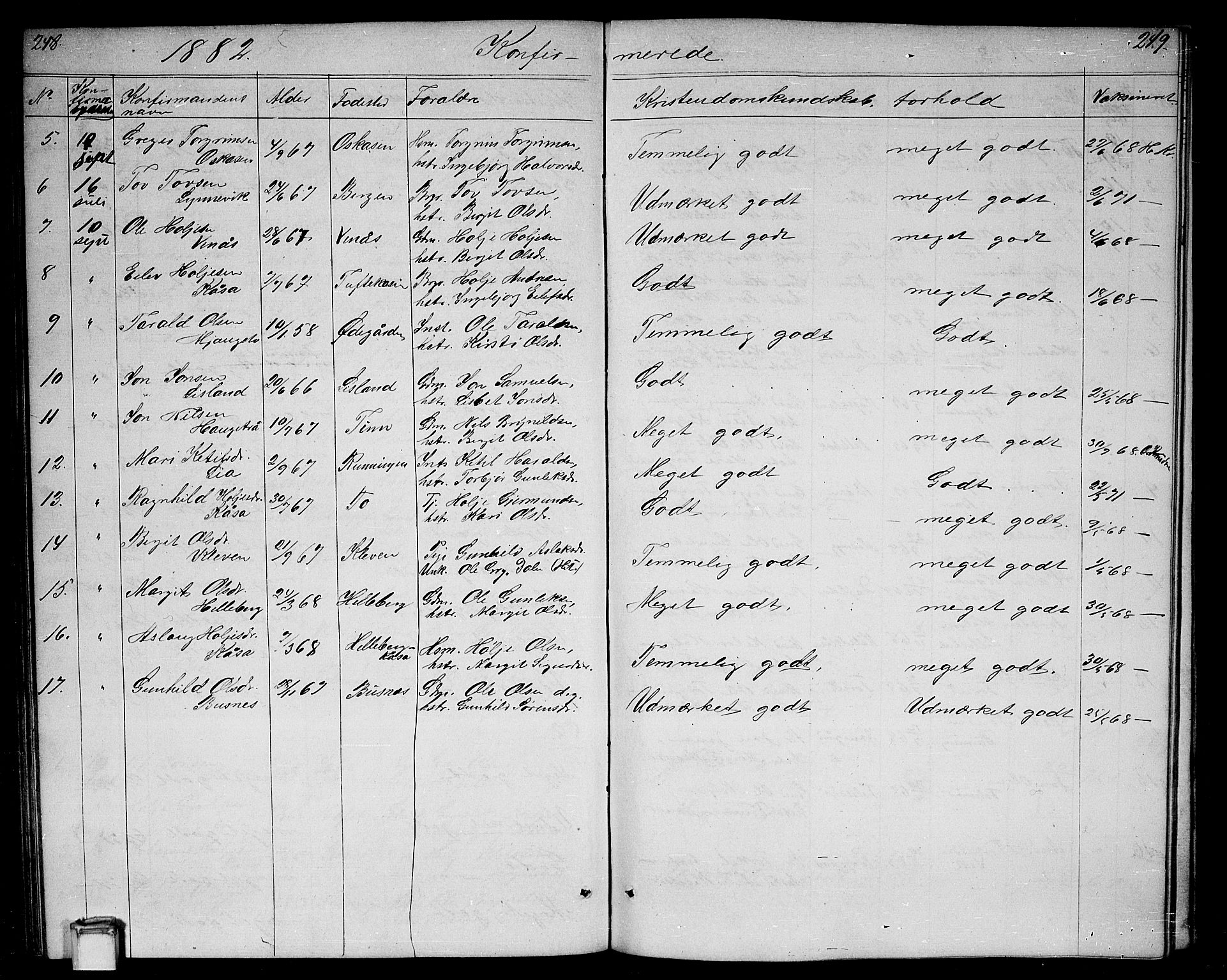 Gransherad kirkebøker, AV/SAKO-A-267/G/Ga/L0002: Parish register (copy) no. I 2, 1854-1886, p. 248-249