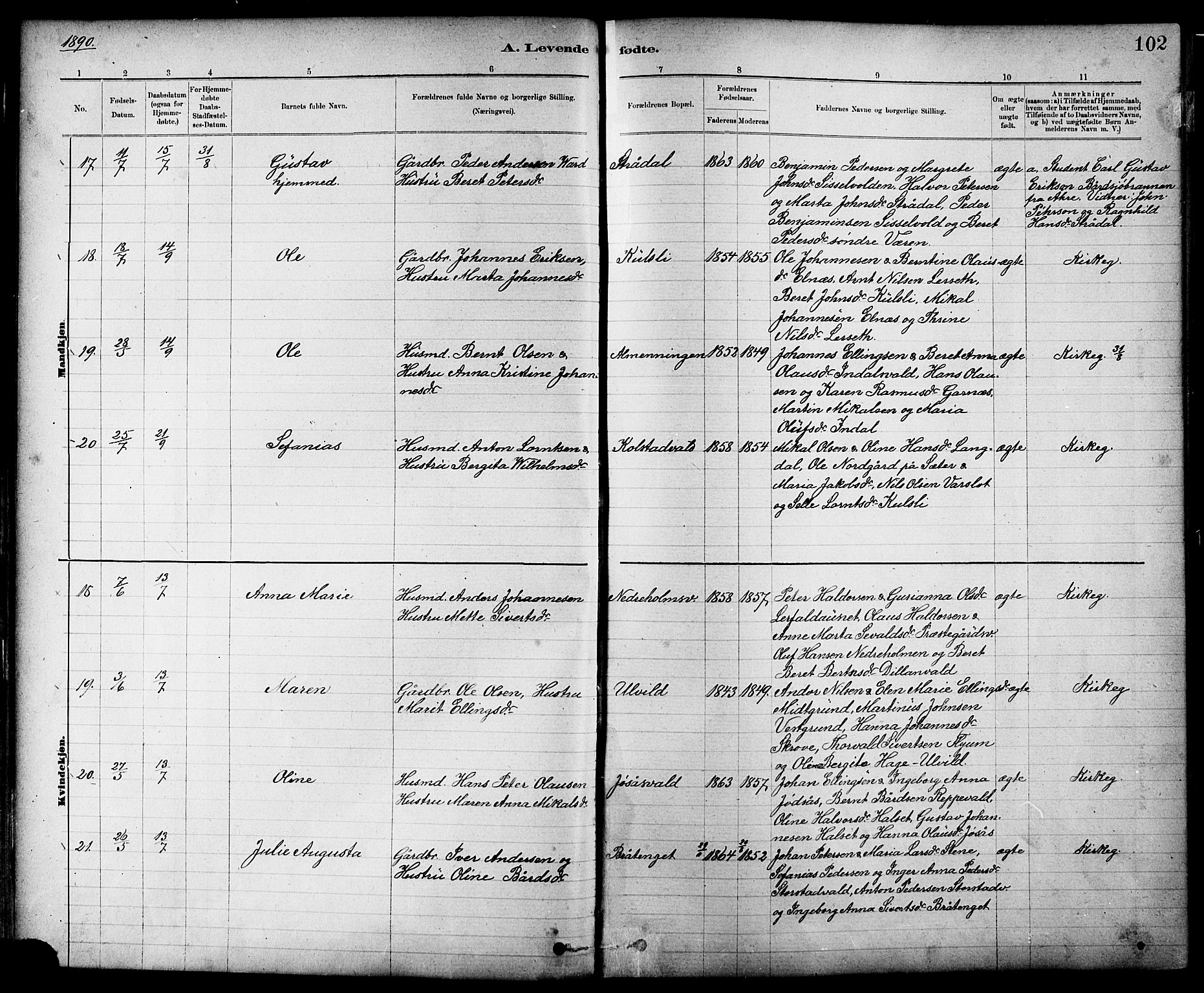 Ministerialprotokoller, klokkerbøker og fødselsregistre - Nord-Trøndelag, AV/SAT-A-1458/724/L0267: Parish register (copy) no. 724C03, 1879-1898, p. 102