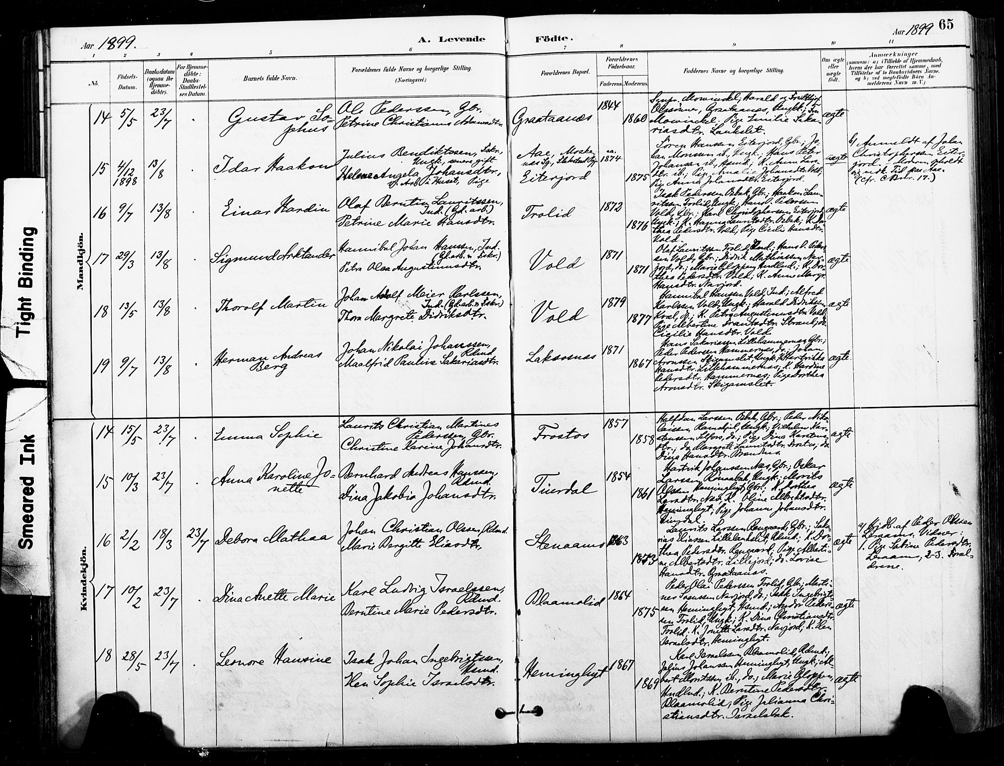 Ministerialprotokoller, klokkerbøker og fødselsregistre - Nordland, AV/SAT-A-1459/846/L0646: Parish register (official) no. 846A04, 1887-1901, p. 65