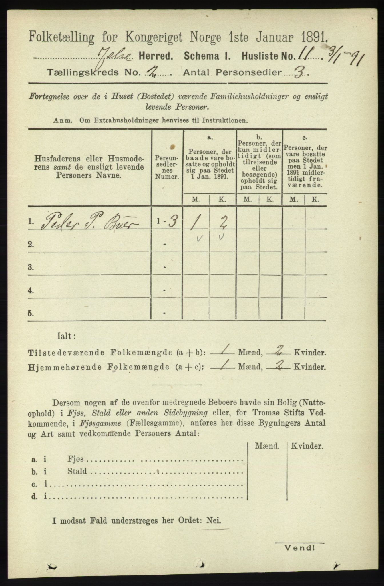 RA, 1891 census for 1138 Jelsa, 1891, p. 238