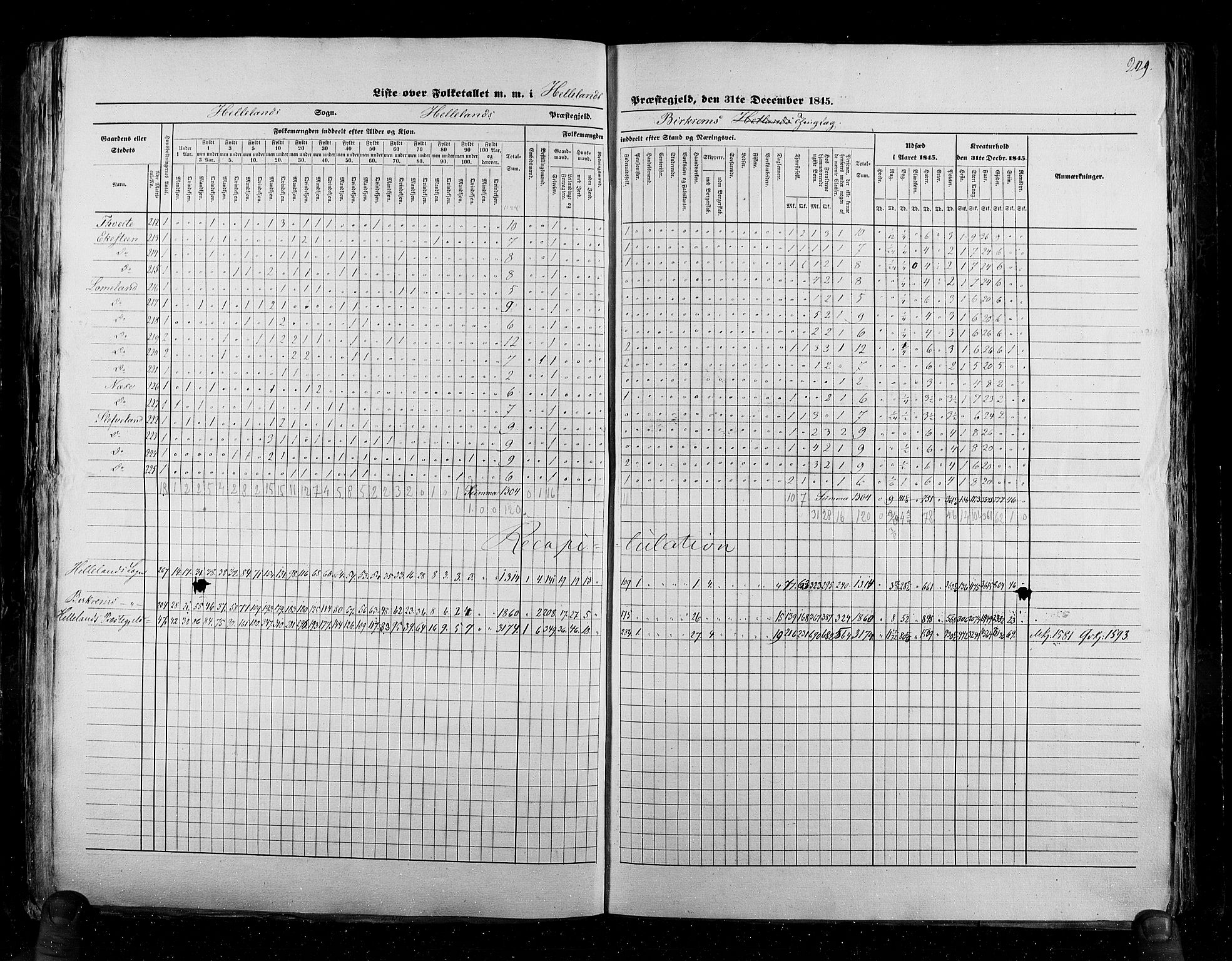 RA, Census 1845, vol. 6: Lister og Mandal amt og Stavanger amt, 1845, p. 229