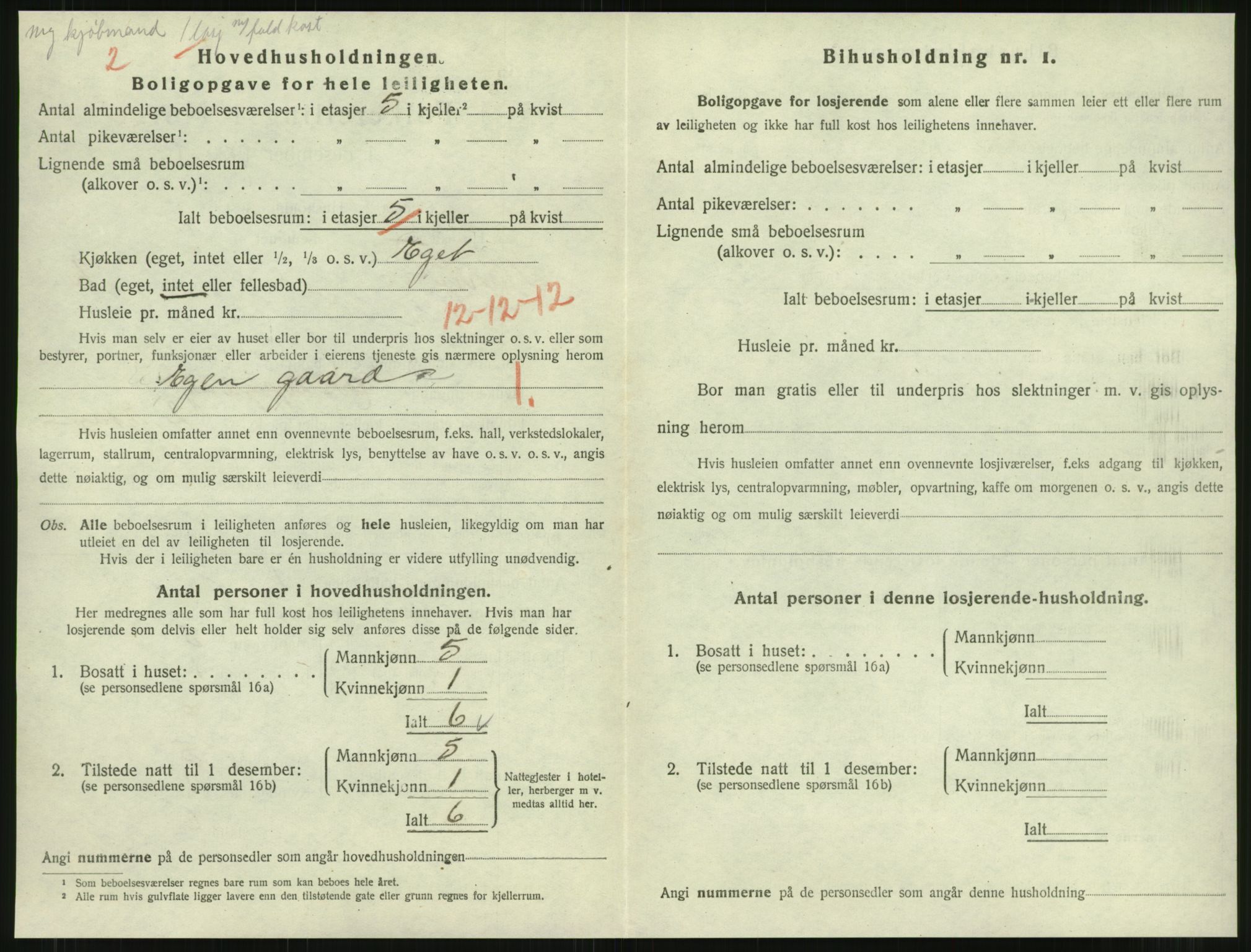 SAT, 1920 census for Namsos, 1920, p. 1124