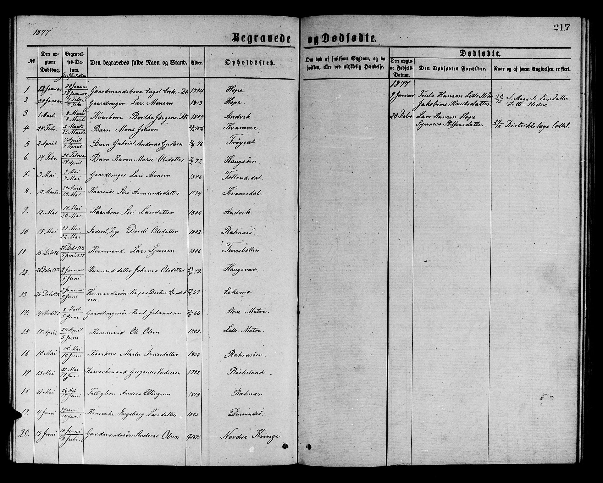 Masfjorden Sokneprestembete, SAB/A-77001: Parish register (copy) no. A 2, 1876-1891, p. 217