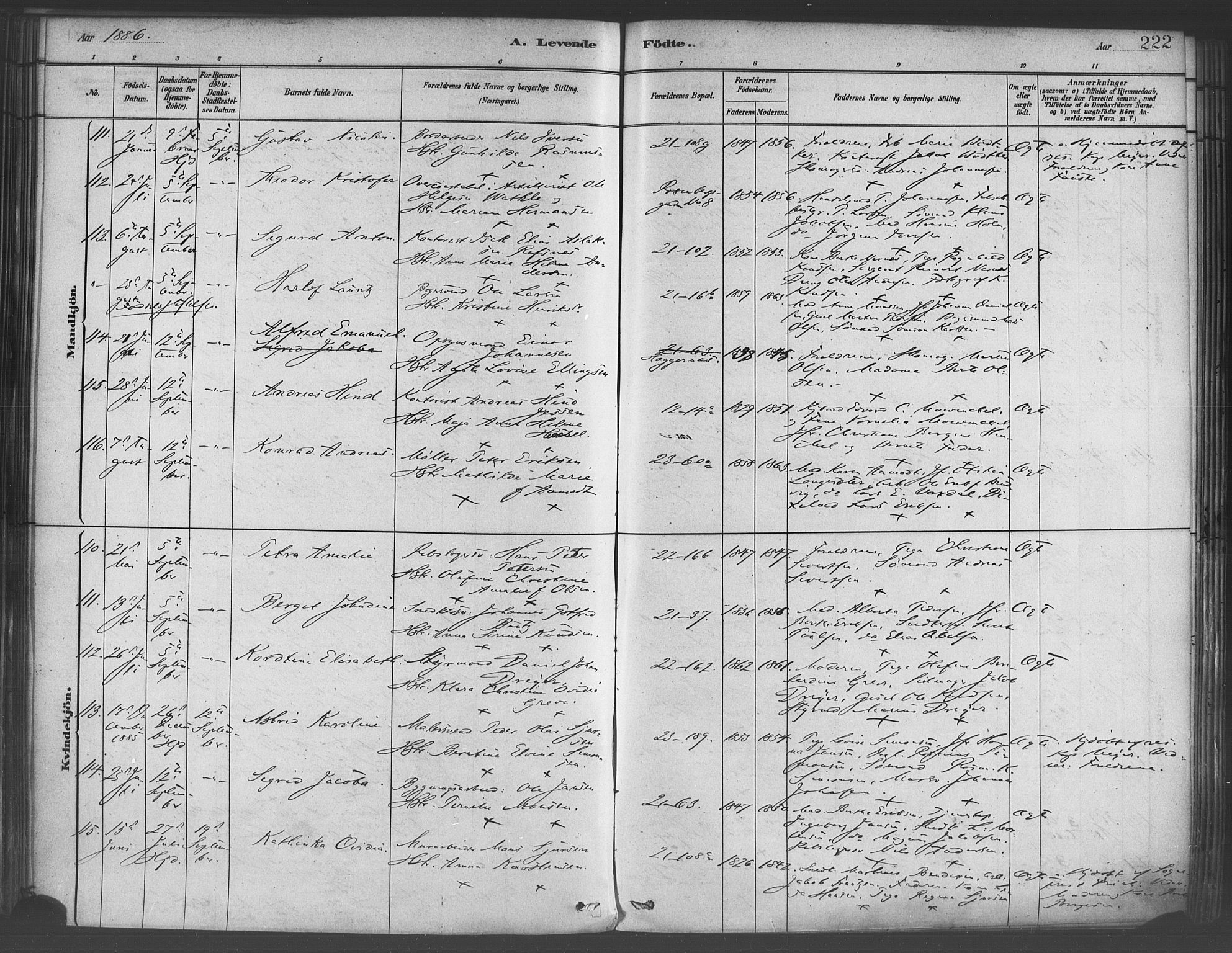 Korskirken sokneprestembete, SAB/A-76101/H/Haa/L0021: Parish register (official) no. B 7, 1878-1889, p. 222
