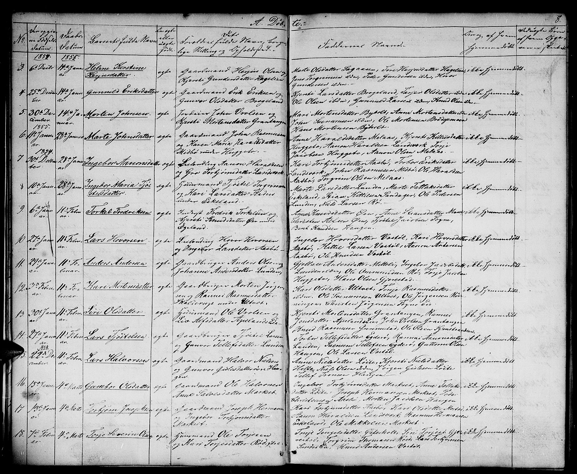 Gjerstad sokneprestkontor, AV/SAK-1111-0014/F/Fb/Fba/L0005: Parish register (copy) no. B 5, 1853-1867, p. 8