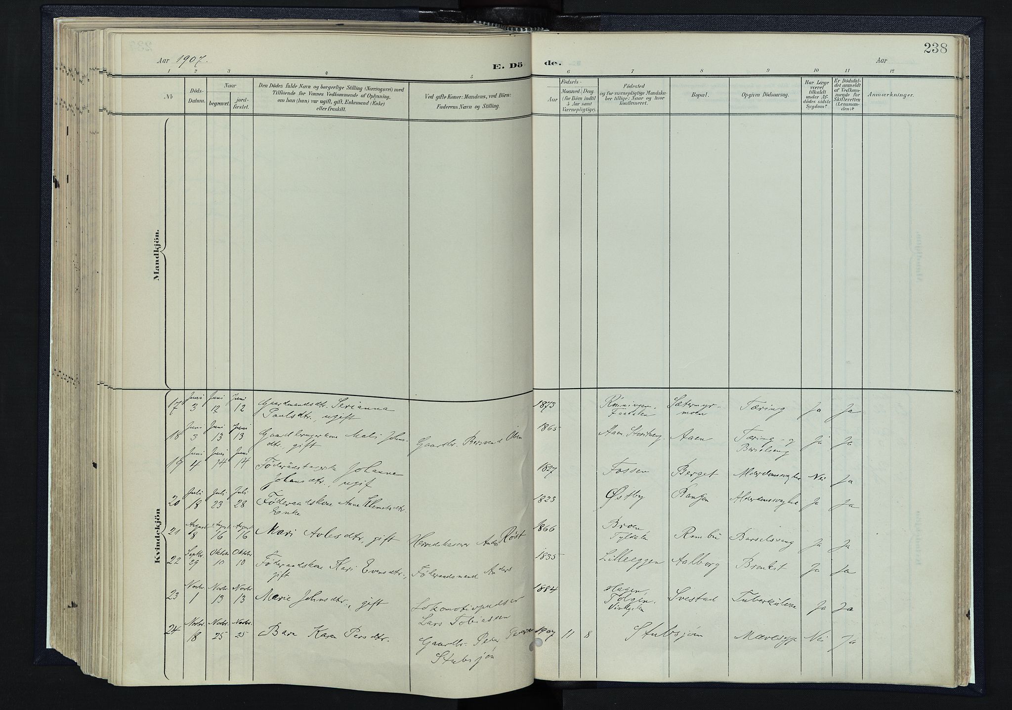 Tynset prestekontor, AV/SAH-PREST-058/H/Ha/Haa/L0025: Parish register (official) no. 25, 1900-1914, p. 238