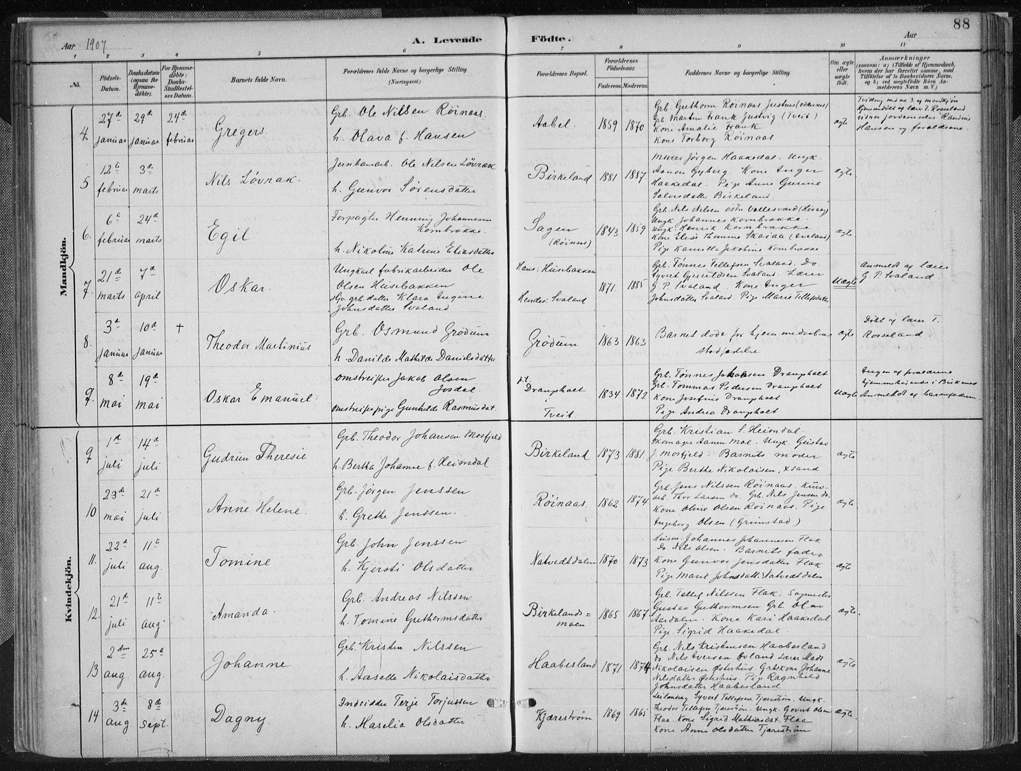 Birkenes sokneprestkontor, AV/SAK-1111-0004/F/Fa/L0005: Parish register (official) no. A 5, 1887-1907, p. 88