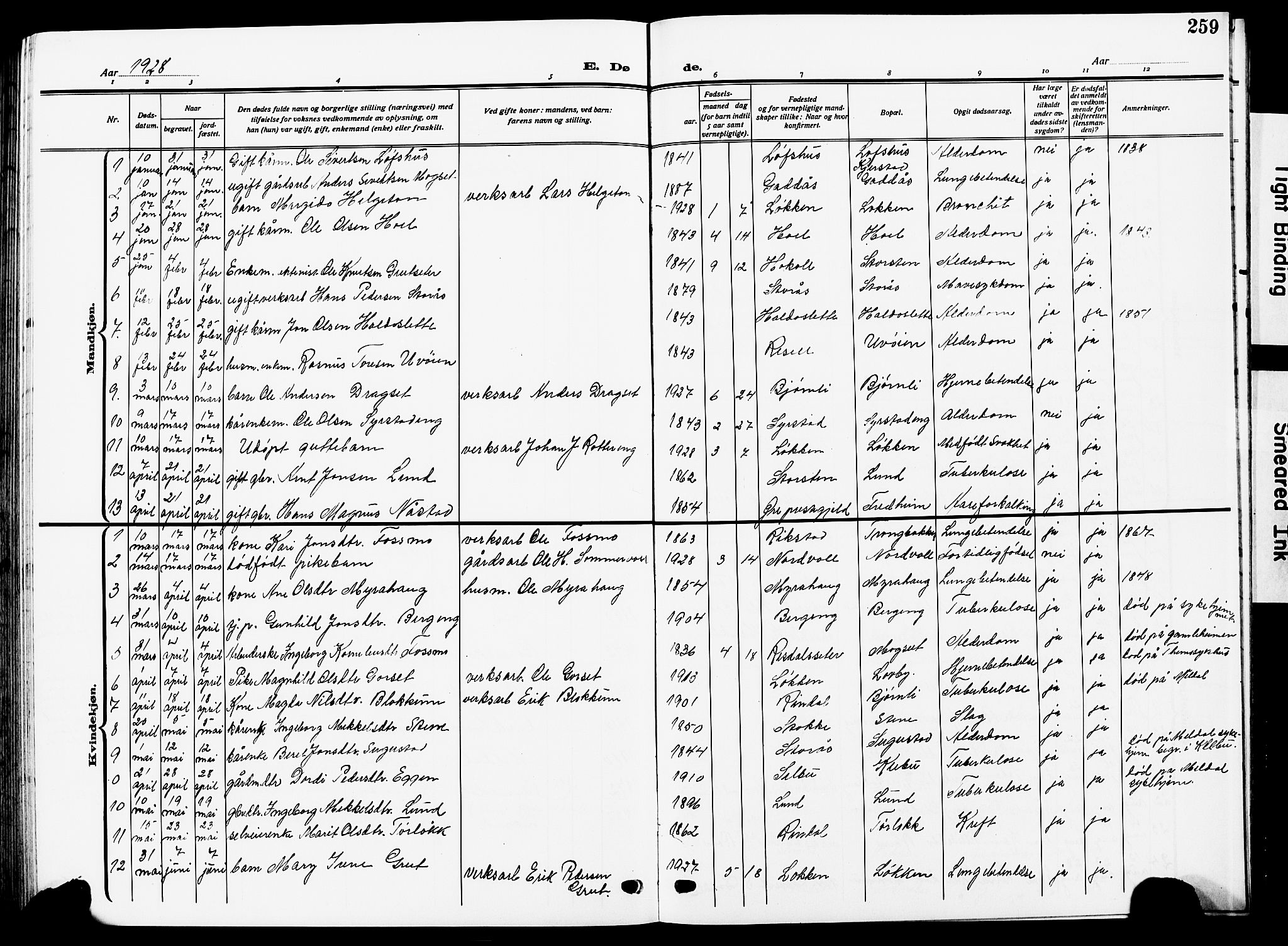 Ministerialprotokoller, klokkerbøker og fødselsregistre - Sør-Trøndelag, SAT/A-1456/672/L0865: Parish register (copy) no. 672C04, 1914-1928, p. 259