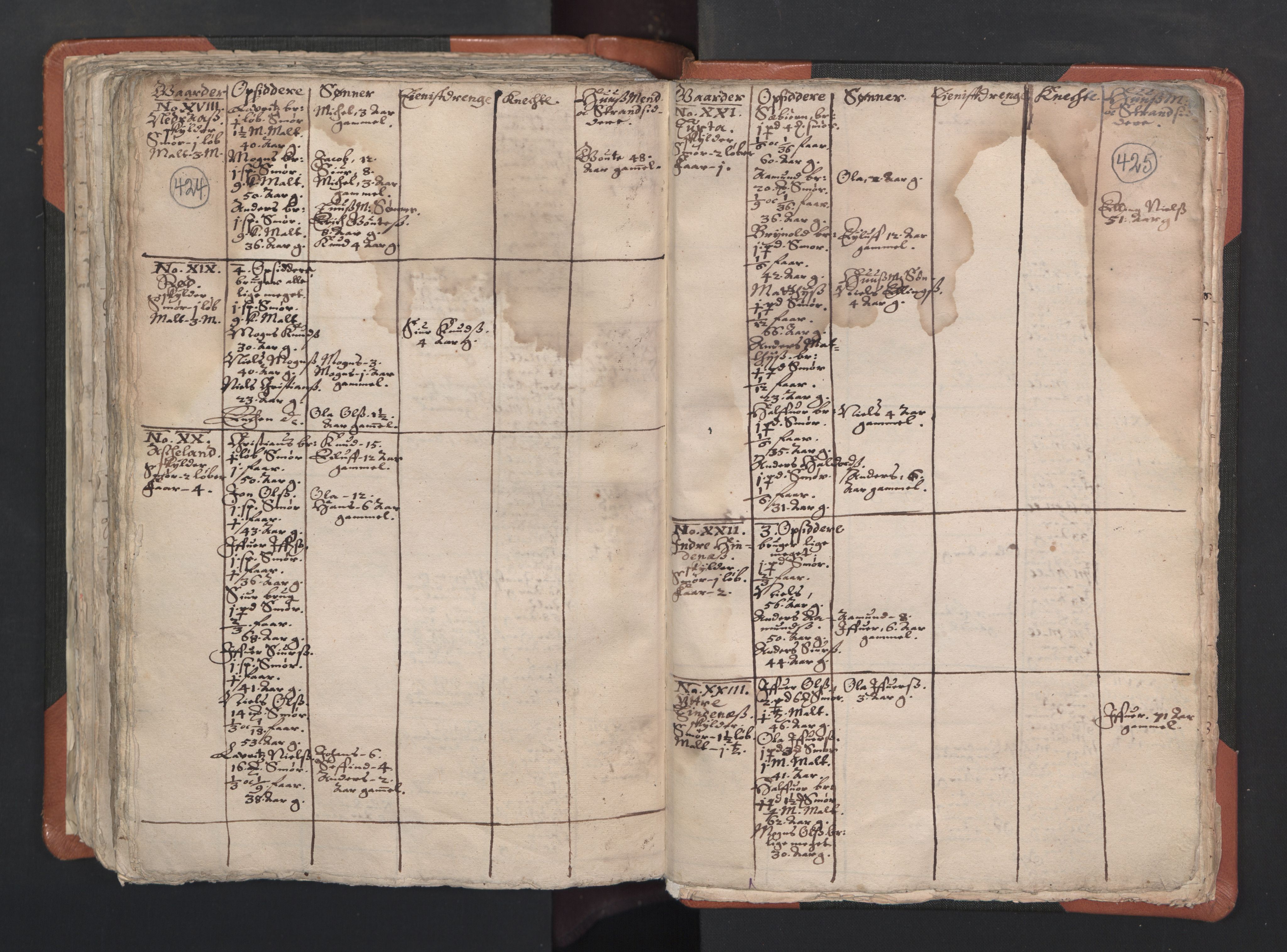 RA, Vicar's Census 1664-1666, no. 22: Nordhordland deanery, 1664-1666, p. 424-425