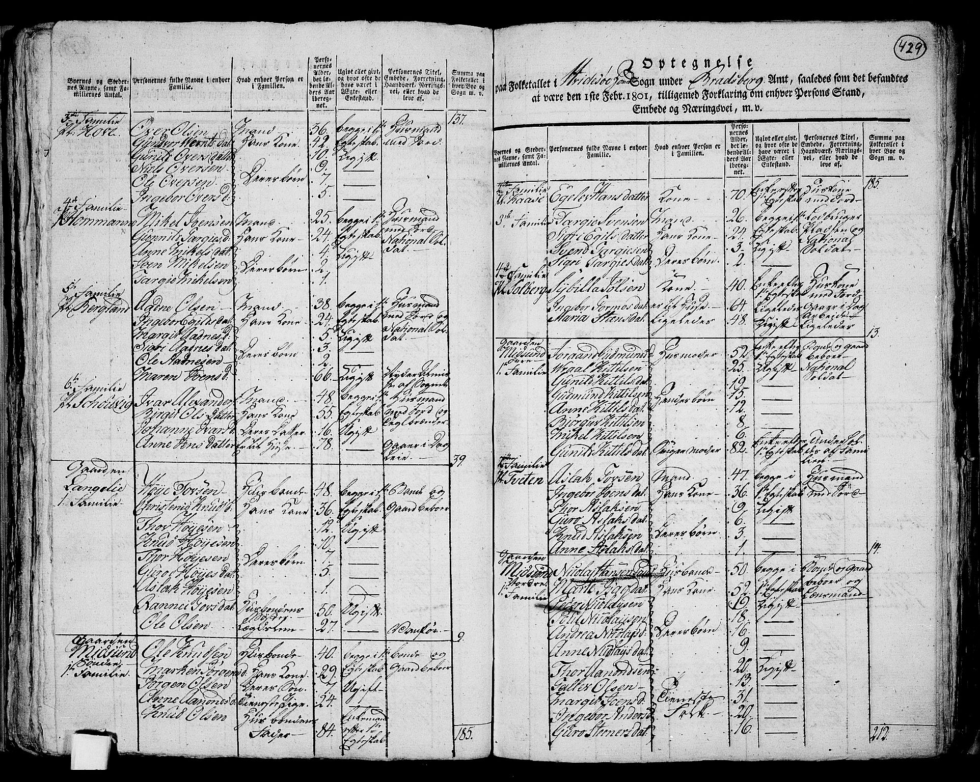 RA, 1801 census for 0829P Kviteseid, 1801, p. 428b-429a