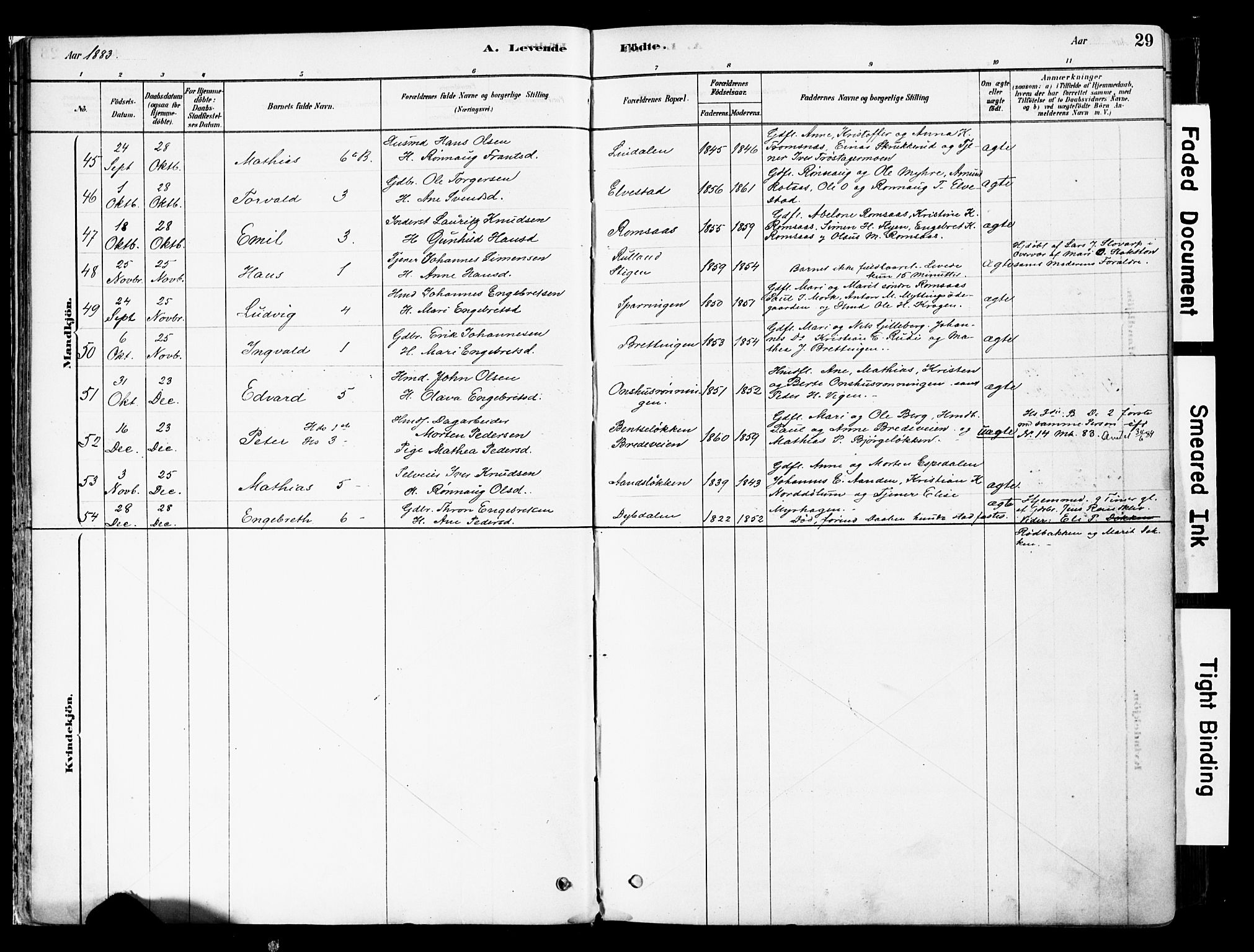 Ringebu prestekontor, AV/SAH-PREST-082/H/Ha/Haa/L0008: Parish register (official) no. 8, 1878-1898, p. 29