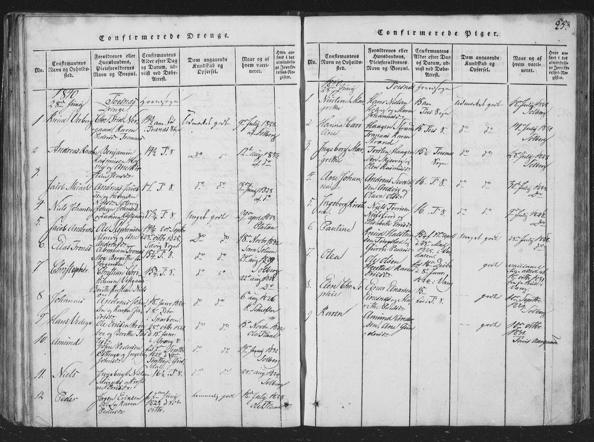 Ministerialprotokoller, klokkerbøker og fødselsregistre - Nord-Trøndelag, AV/SAT-A-1458/773/L0613: Parish register (official) no. 773A04, 1815-1845, p. 253