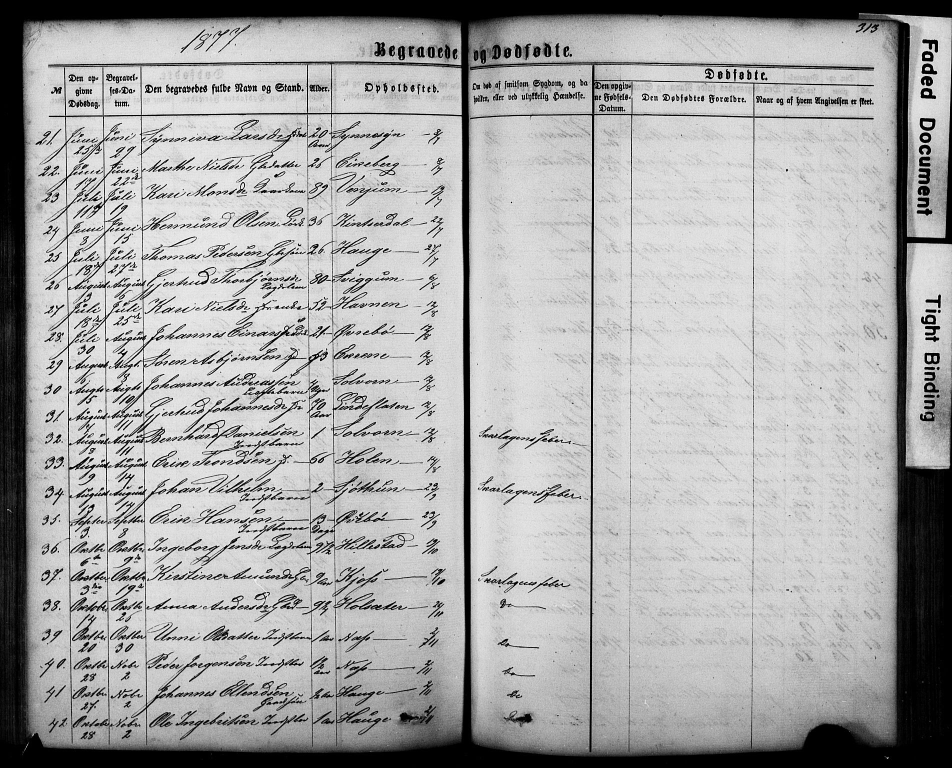 Hafslo sokneprestembete, SAB/A-80301/H/Hab/Haba/L0001: Parish register (copy) no. A 1, 1866-1908, p. 313