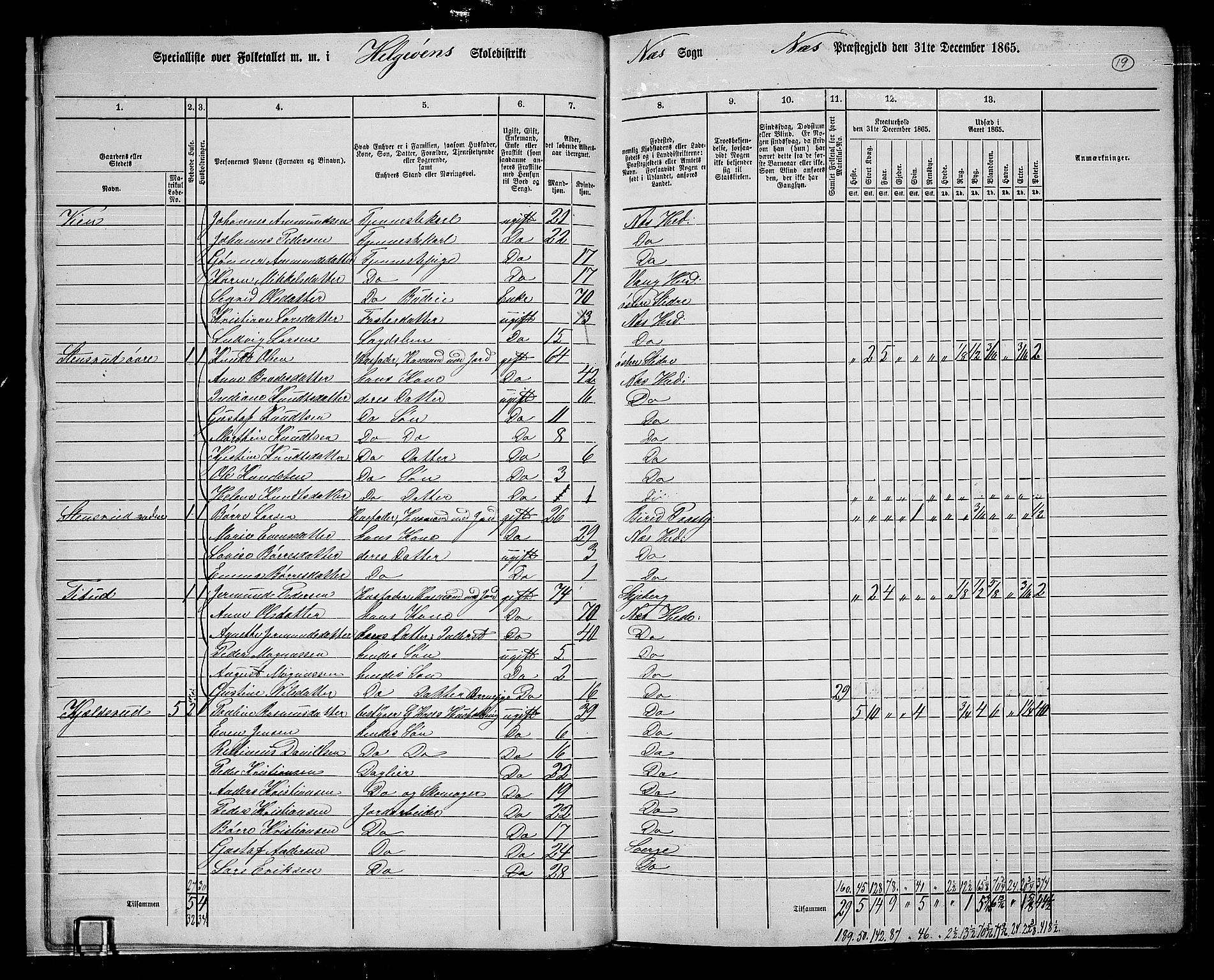 RA, 1865 census for Nes, 1865, p. 17