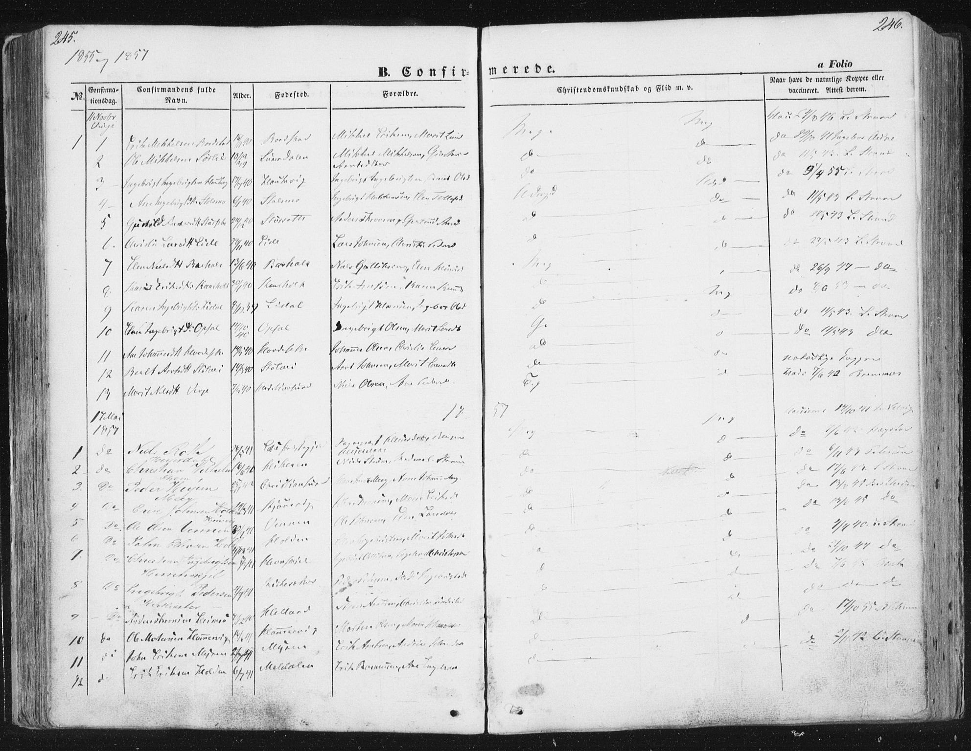 Ministerialprotokoller, klokkerbøker og fødselsregistre - Sør-Trøndelag, SAT/A-1456/630/L0494: Parish register (official) no. 630A07, 1852-1868, p. 245-246