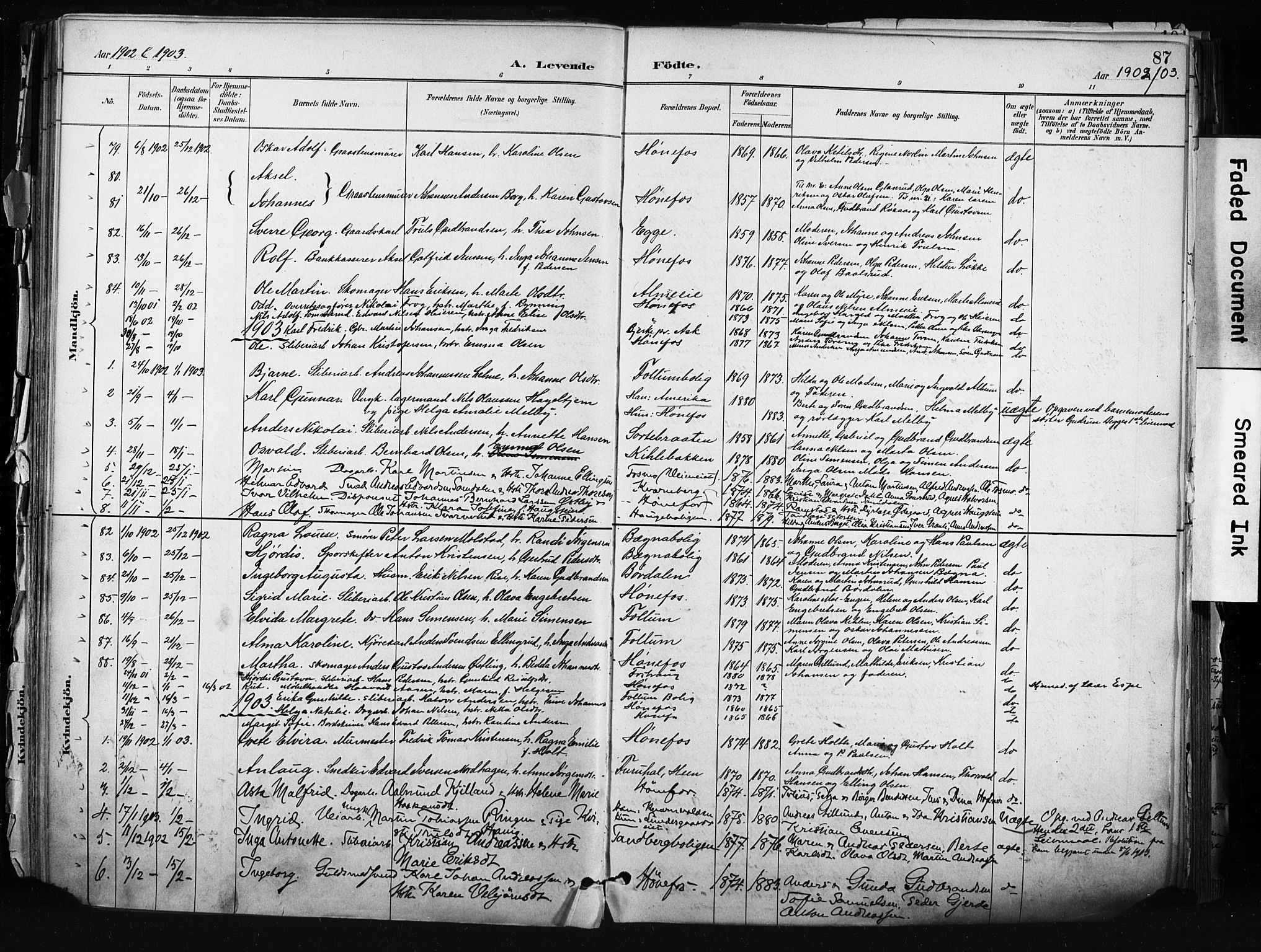 Hønefoss kirkebøker, AV/SAKO-A-609/F/Fa/L0002: Parish register (official) no. 2, 1887-1906, p. 87