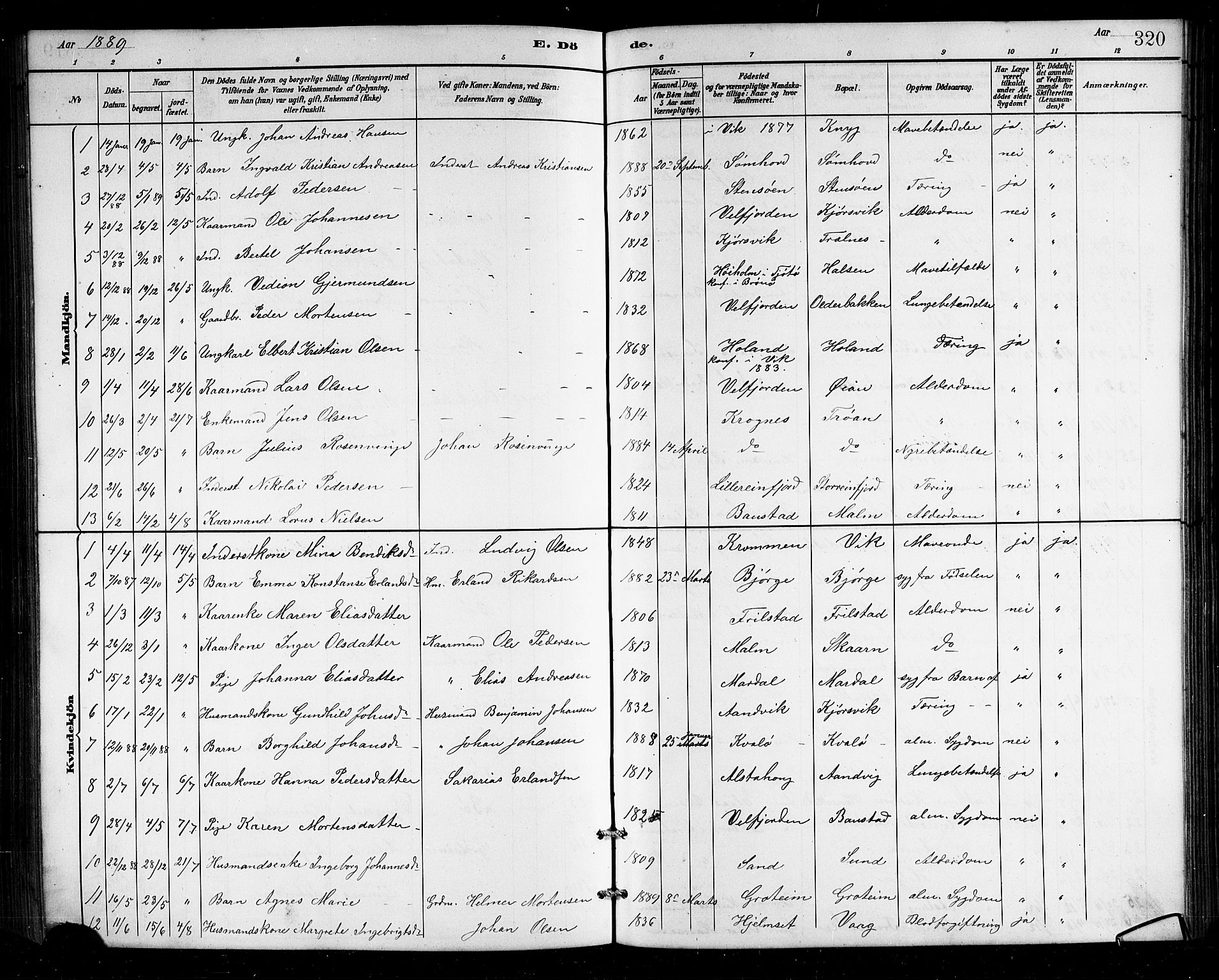 Ministerialprotokoller, klokkerbøker og fødselsregistre - Nordland, AV/SAT-A-1459/812/L0188: Parish register (copy) no. 812C06, 1884-1912, p. 320