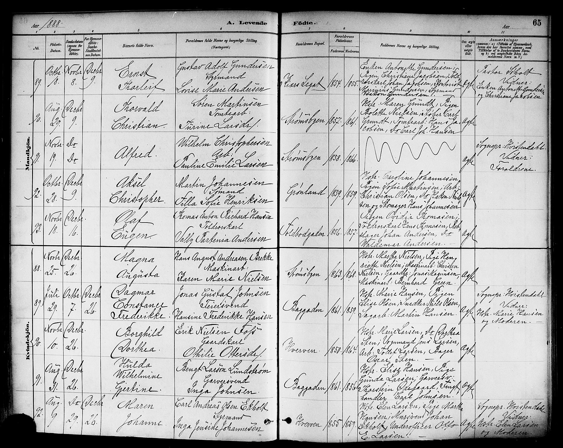 Strømsø kirkebøker, AV/SAKO-A-246/F/Fa/L0023: Parish register (official) no. I 23, 1885-1894, p. 65