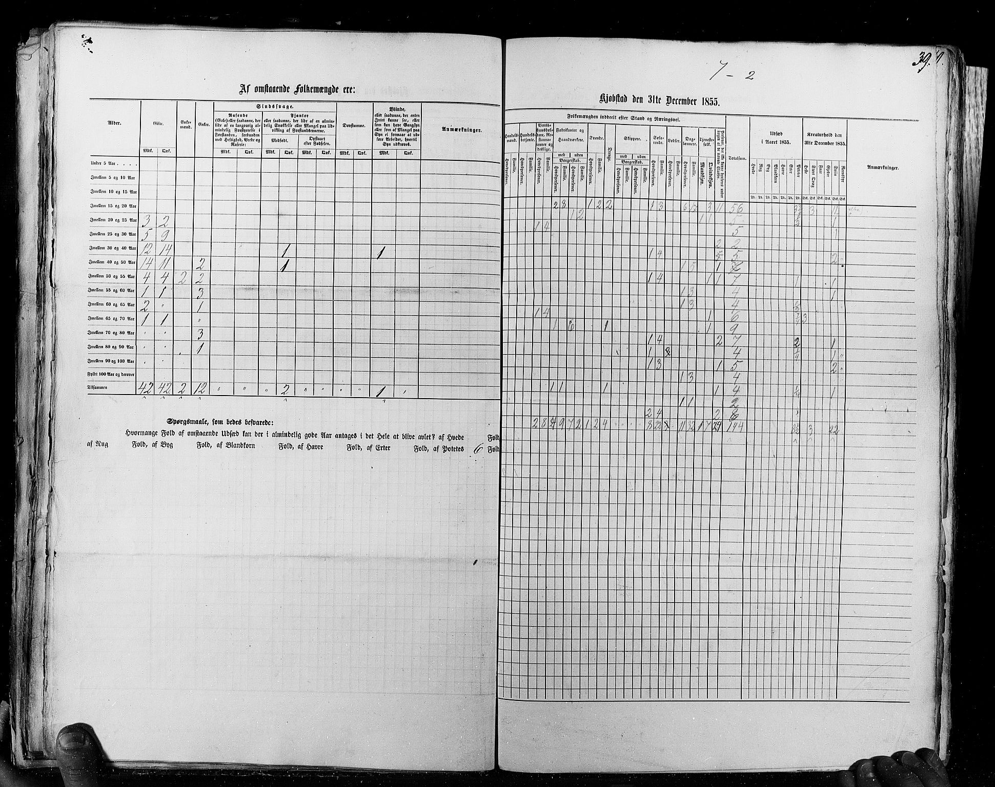 RA, Census 1855, vol. 8: Risør-Vadsø, 1855, p. 39