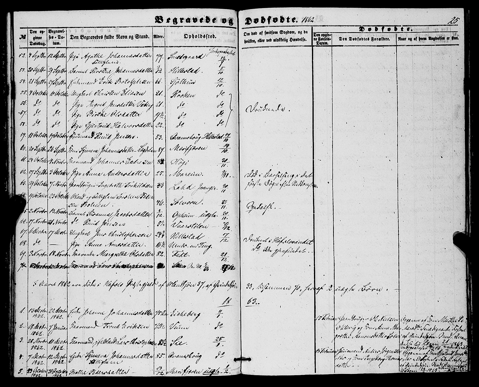 Hafslo sokneprestembete, AV/SAB-A-80301/H/Haa/Haaa/L0010: Parish register (official) no. A 10, 1853-1876, p. 25