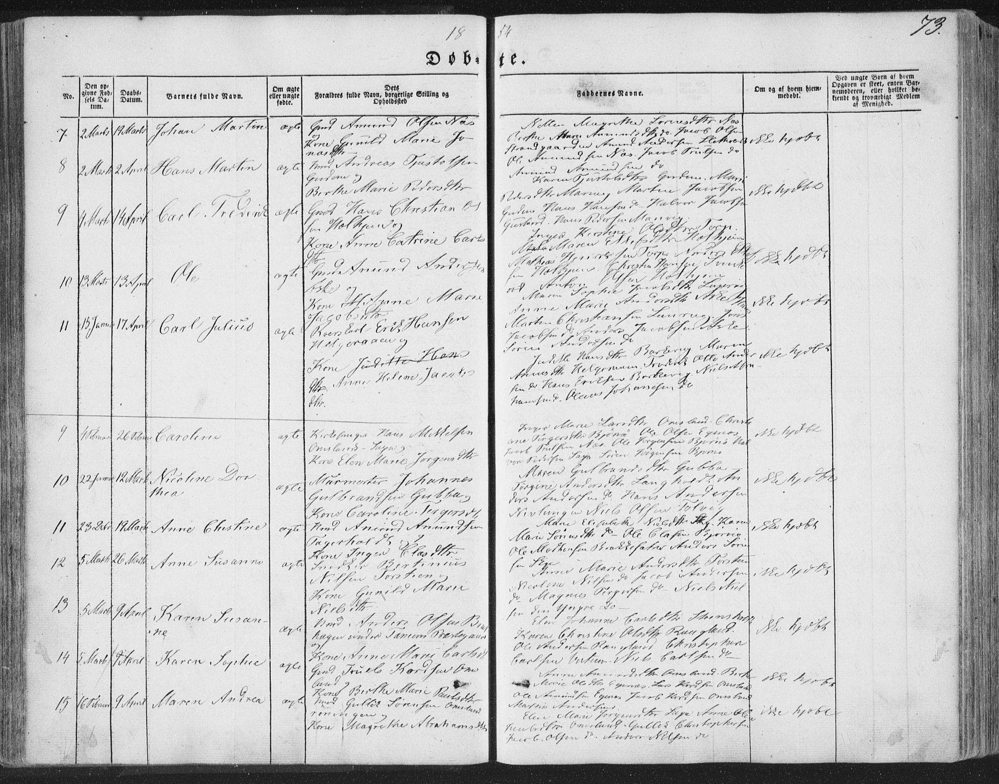 Brunlanes kirkebøker, AV/SAKO-A-342/F/Fa/L0004: Parish register (official) no. I 4, 1846-1862, p. 73