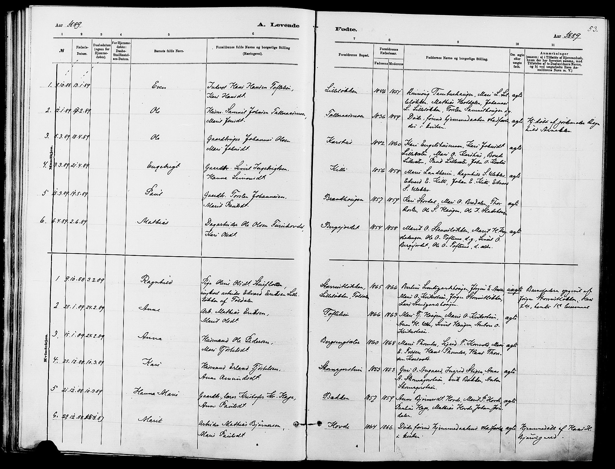 Dovre prestekontor, SAH/PREST-066/H/Ha/Haa/L0002: Parish register (official) no. 2, 1879-1890, p. 53
