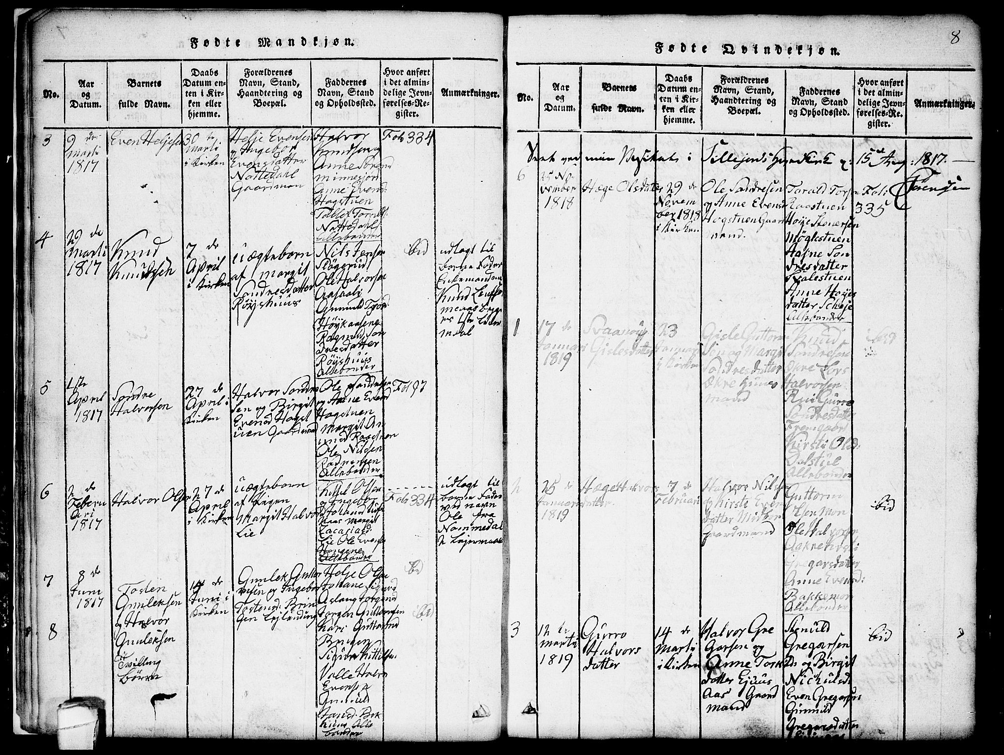 Seljord kirkebøker, SAKO/A-20/G/Gb/L0002: Parish register (copy) no. II 2, 1815-1854, p. 8