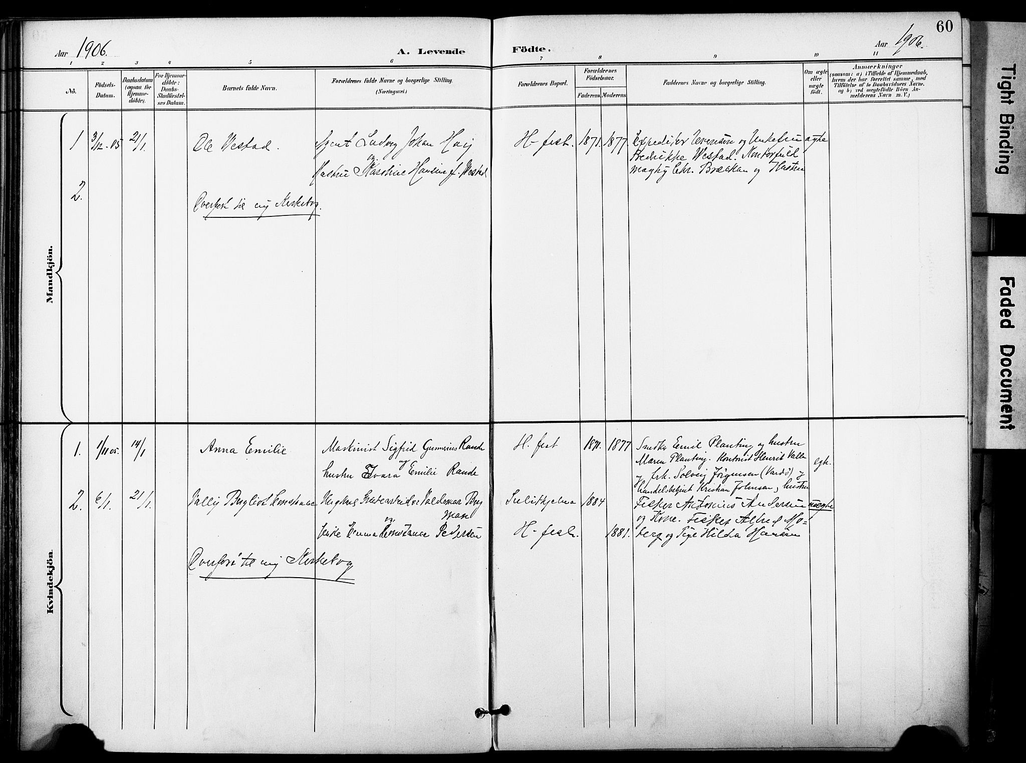 Hammerfest sokneprestkontor, SATØ/S-1347/H/Ha/L0010.kirke: Parish register (official) no. 10, 1898-1905, p. 60