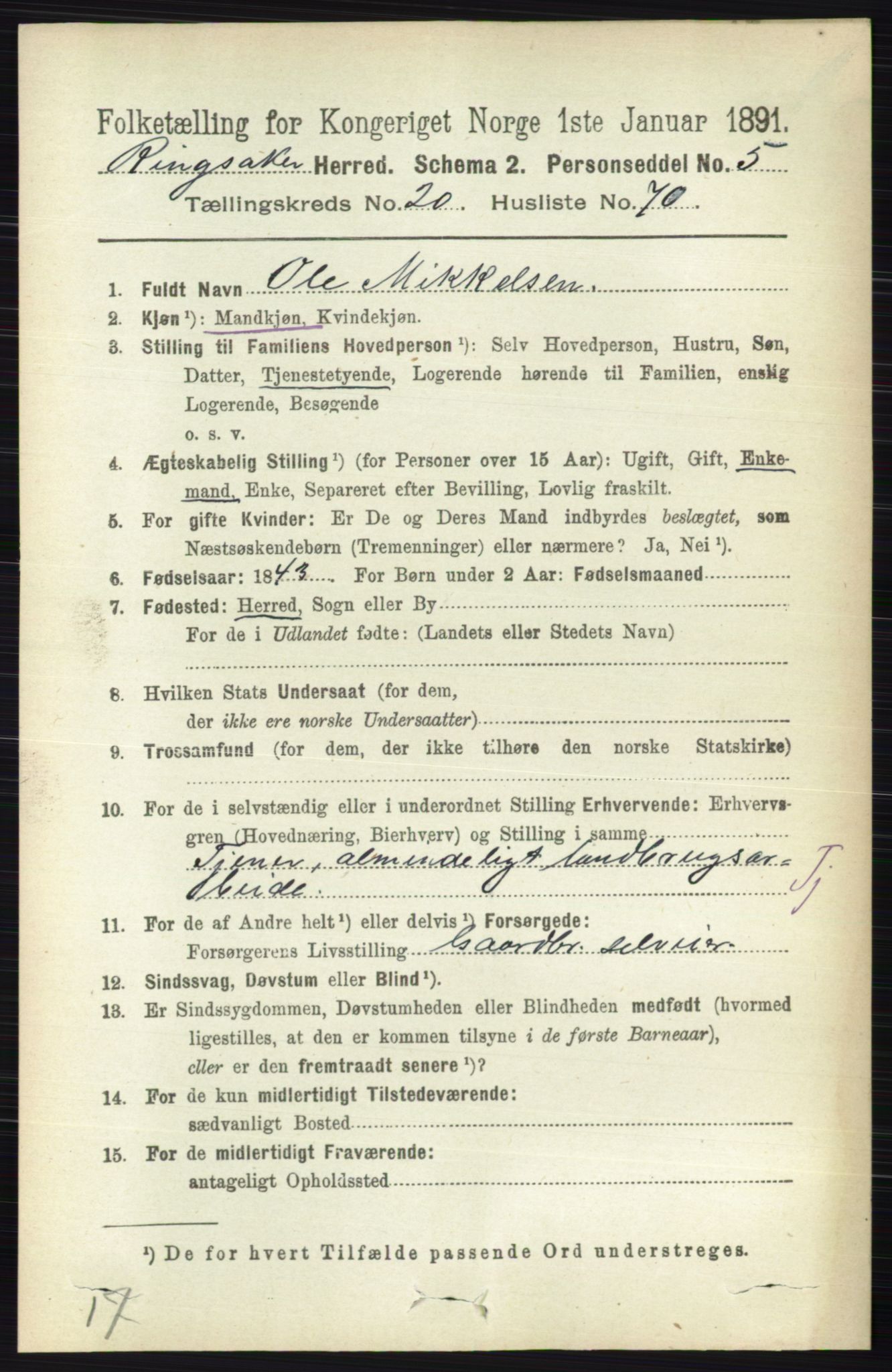 RA, 1891 census for 0412 Ringsaker, 1891, p. 11556