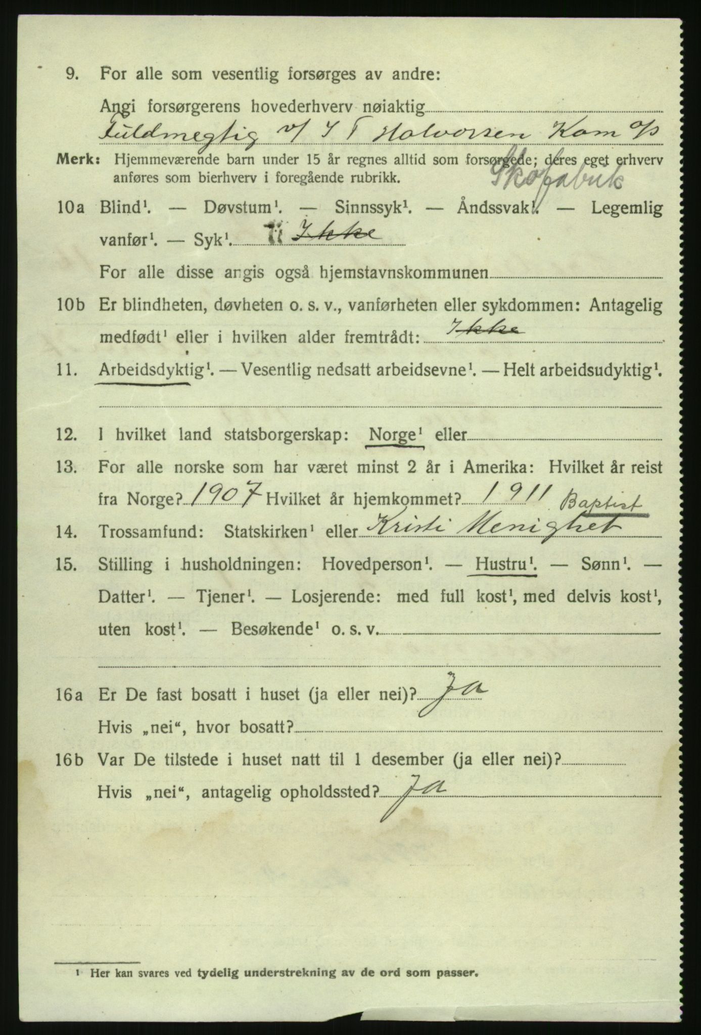 RA, 1920 census: Additional forms, 1920, p. 12