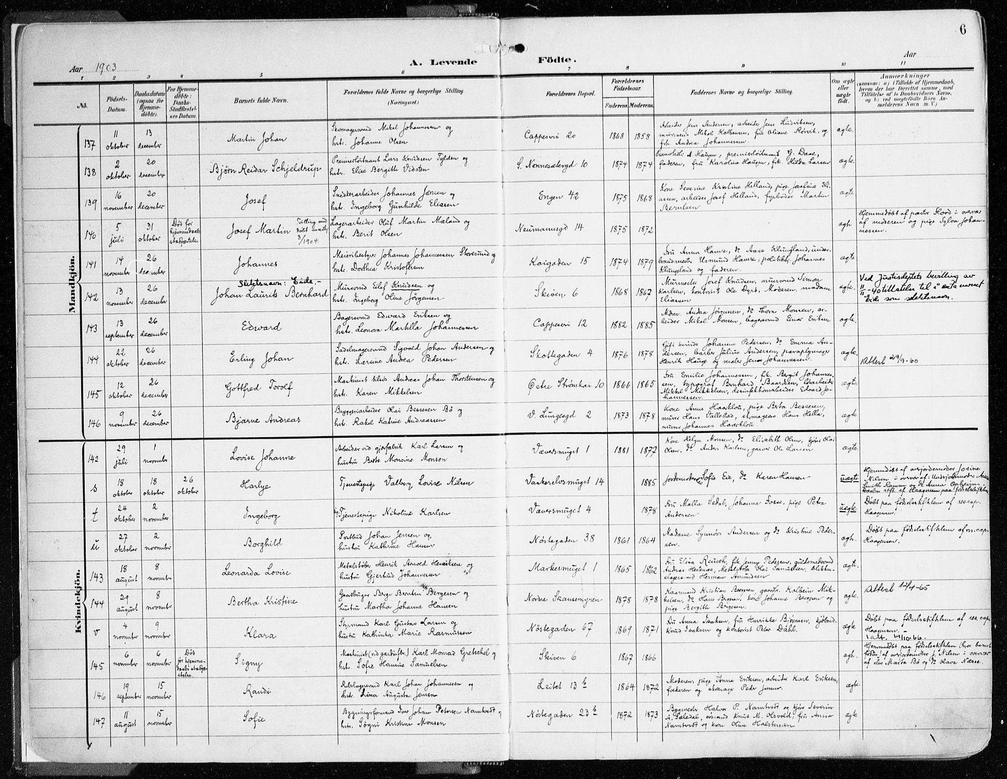 Domkirken sokneprestembete, AV/SAB-A-74801/H/Haa/L0025: Parish register (official) no. B 8, 1903-1925, p. 6