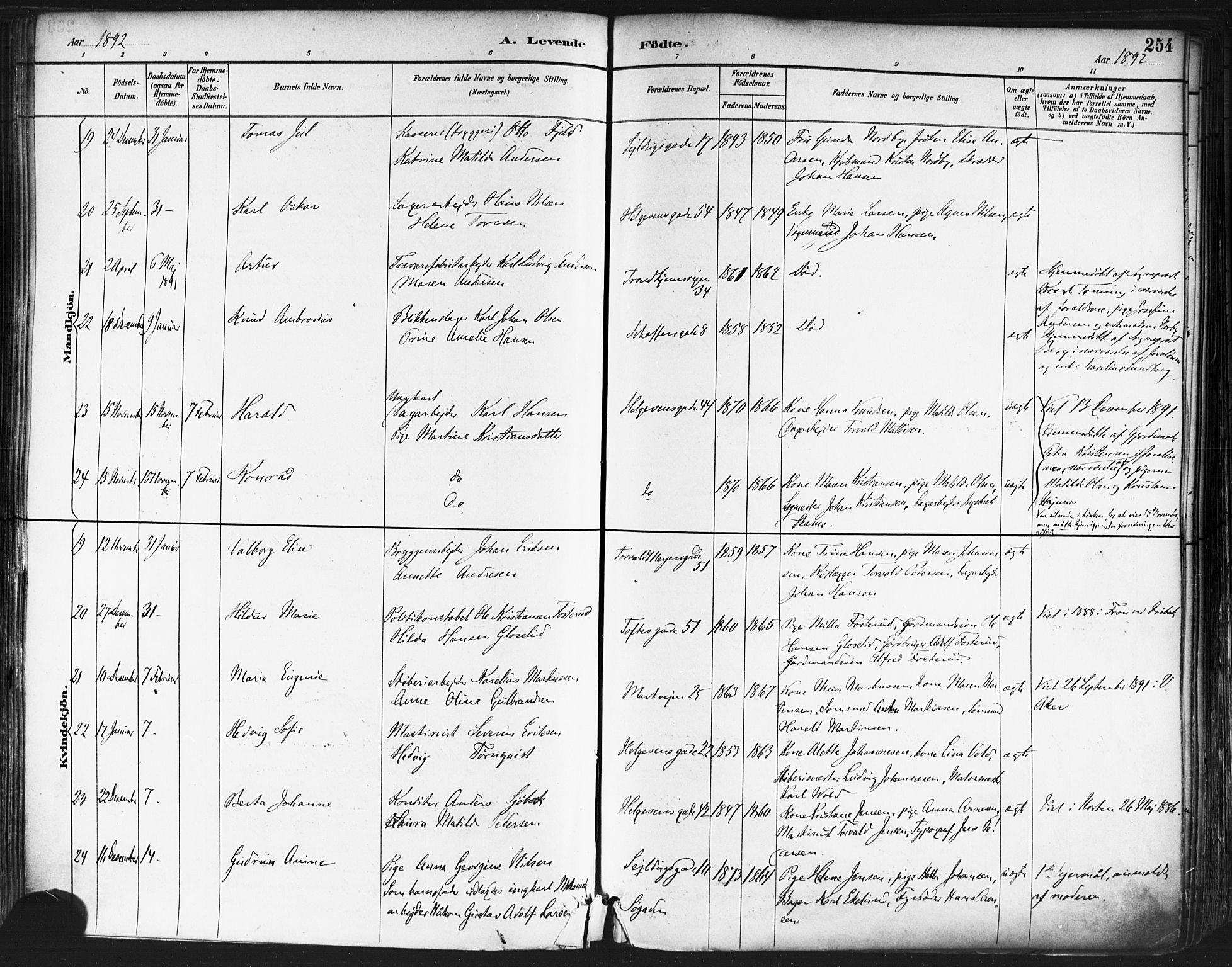 Paulus prestekontor Kirkebøker, AV/SAO-A-10871/F/Fa/L0013: Parish register (official) no. 13, 1887-1894, p. 254