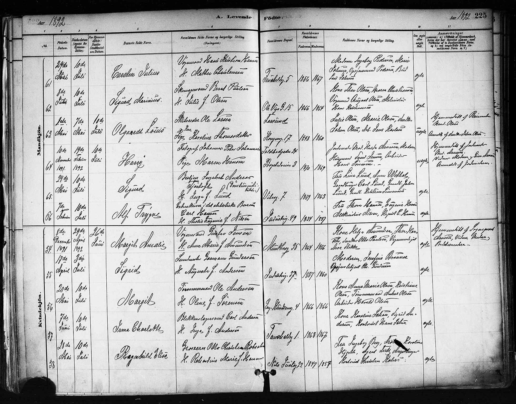 Uranienborg prestekontor Kirkebøker, AV/SAO-A-10877/F/Fa/L0001: Parish register (official) no. 1, 1880-1895, p. 225