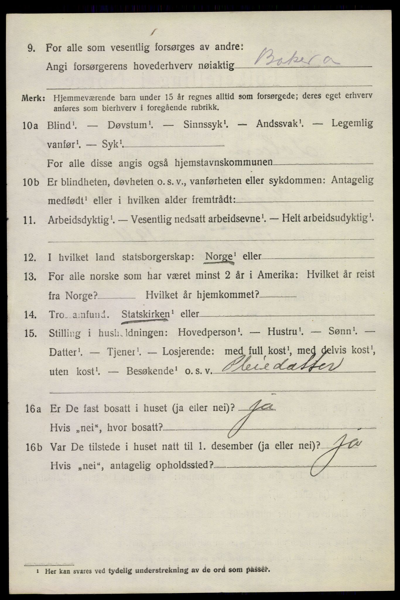 SAKO, 1920 census for Solum, 1920, p. 13823