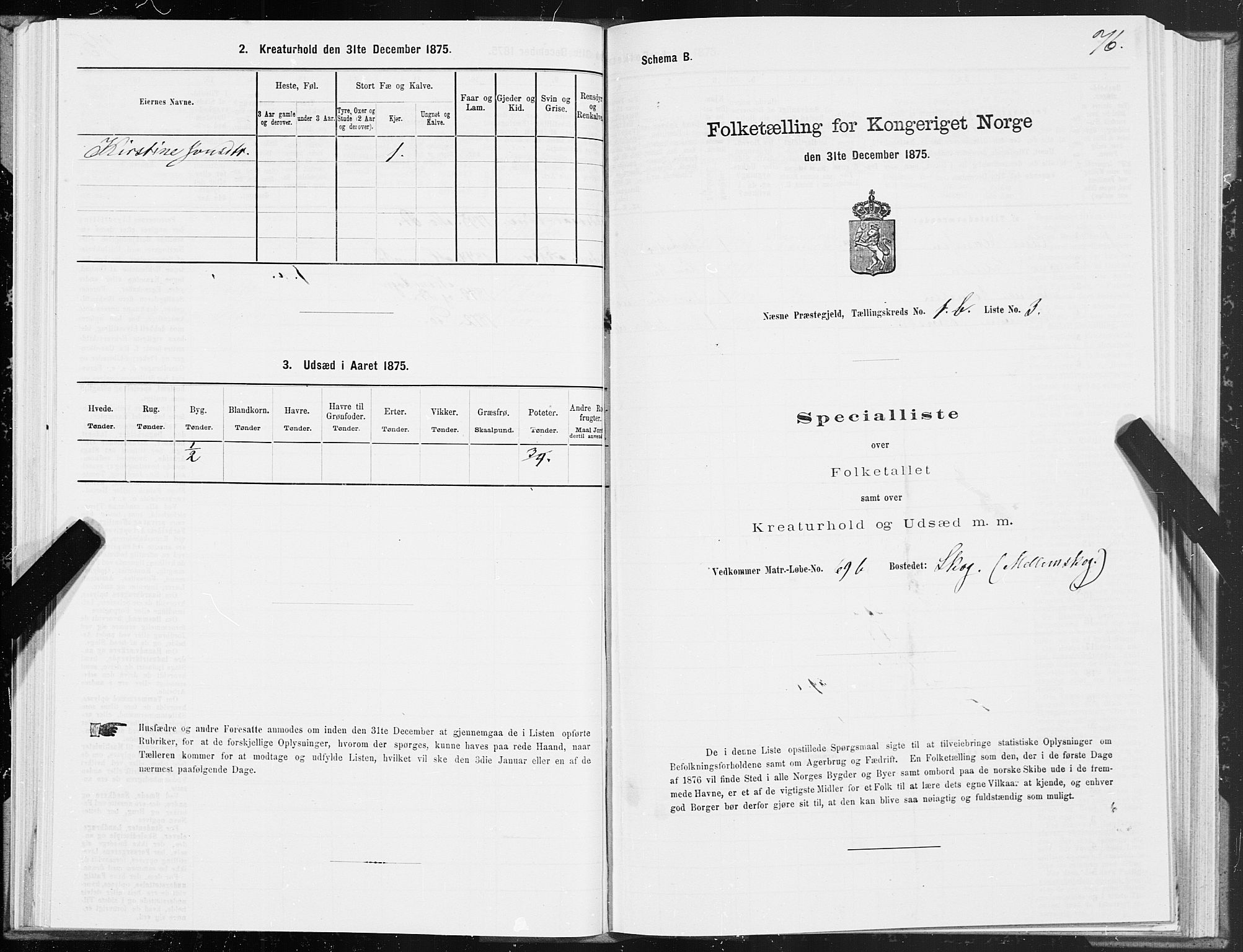 SAT, 1875 census for 1828P Nesna, 1875, p. 1076